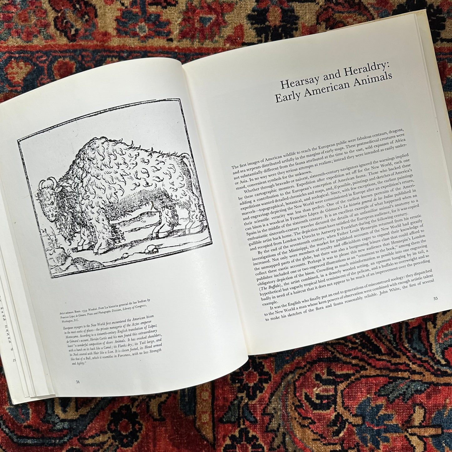 An American Bestiary, 1979