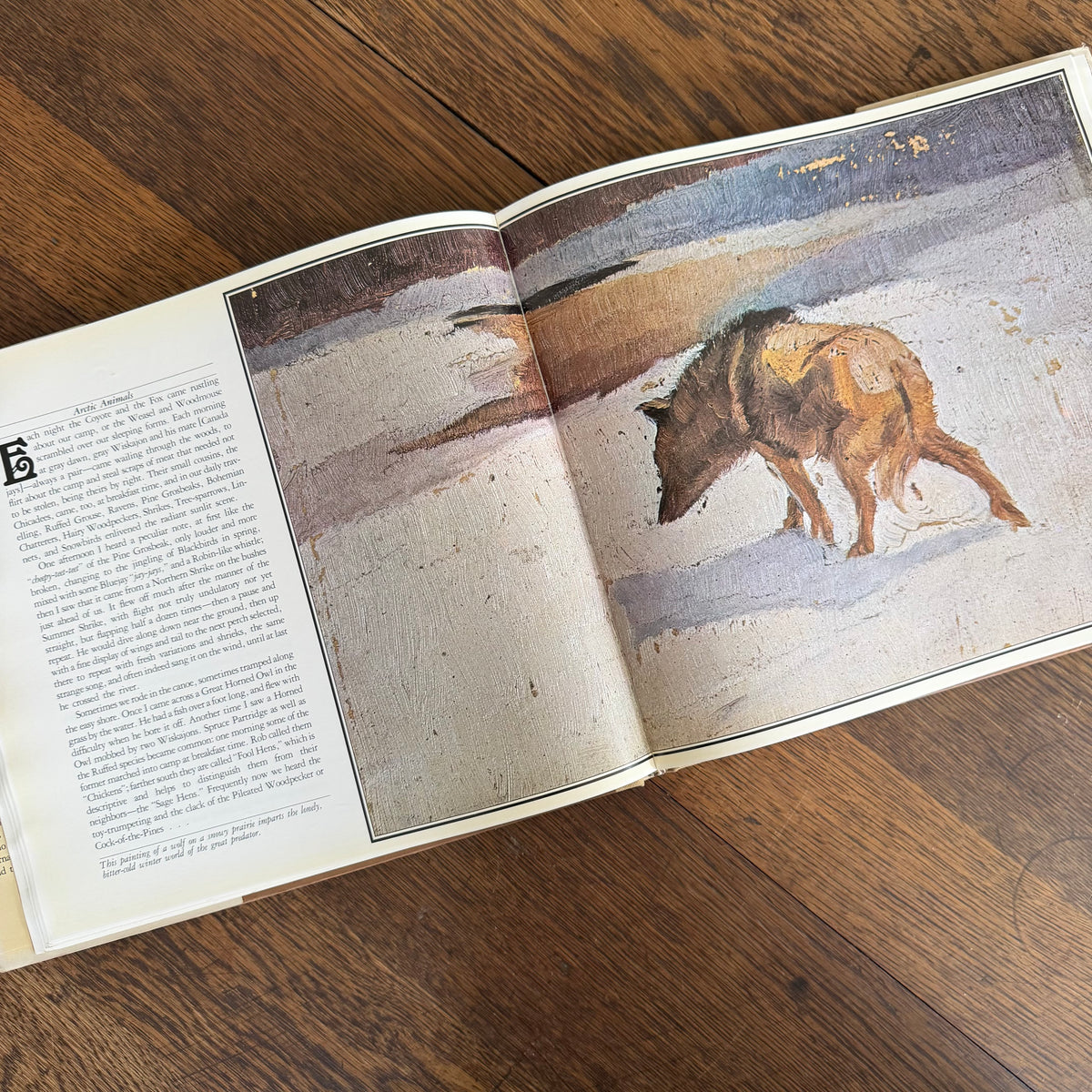 The Worlds of Ernest Thompson Seton -  1976 - First Edition - Edited by John G. Samson- Vintage Wildlife Art Nature Book