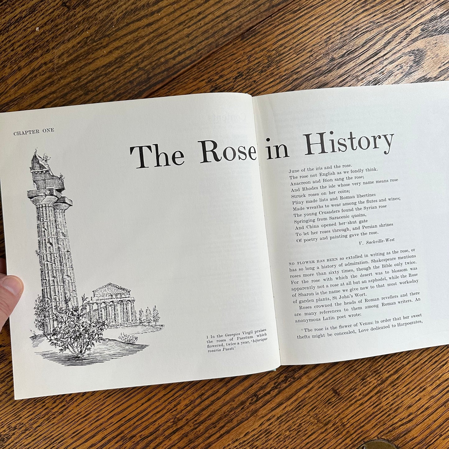 Peter Coats’ Roses: Pleasures and Treasures - 1962