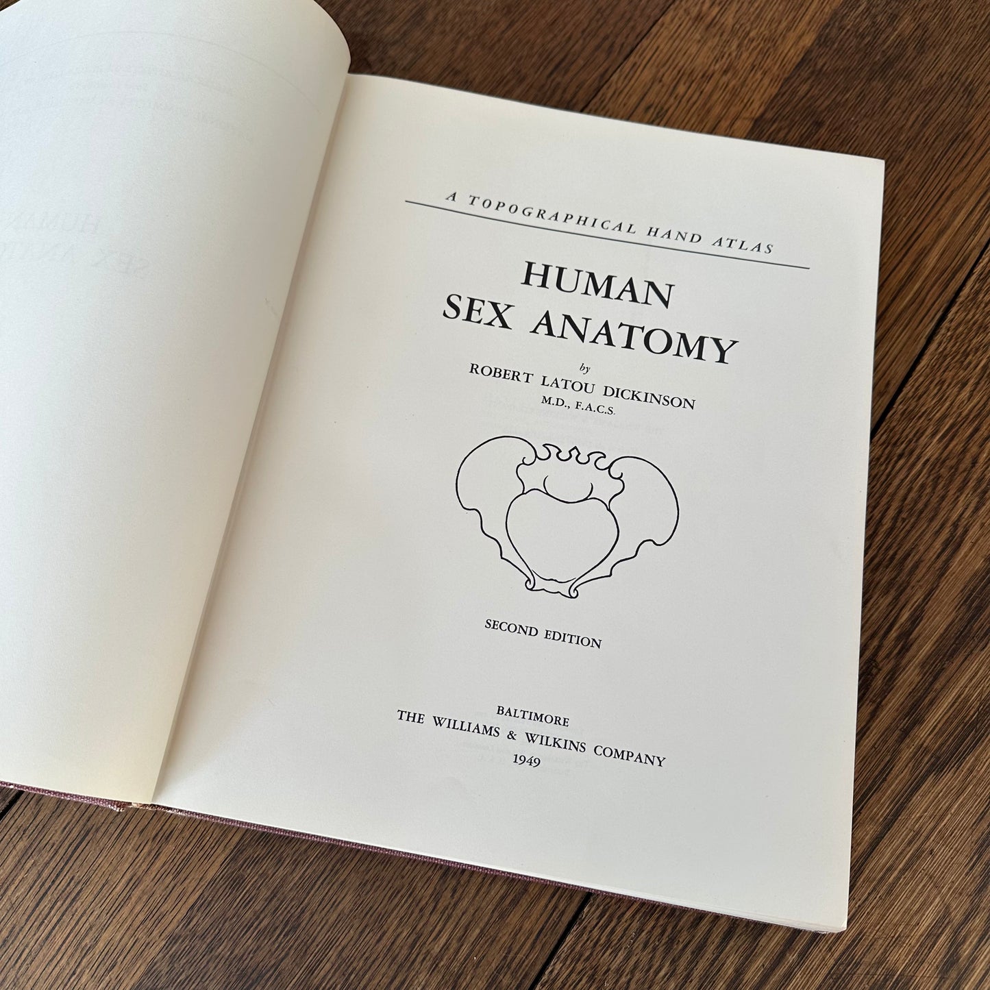 Human Sex Anatomy: A Topographical Hand Atlas, 1949