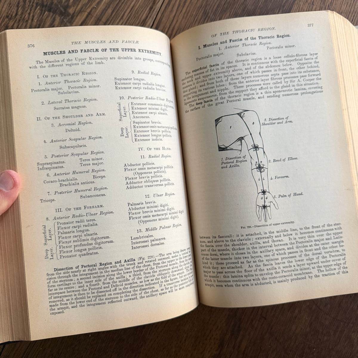 Gray’s Anatomy, 1977 Classic Collector’s Edition — Henry Gray, Descriptive & Surgical Anatomy | Bounty Books Hardcover, 780 Illustrations
