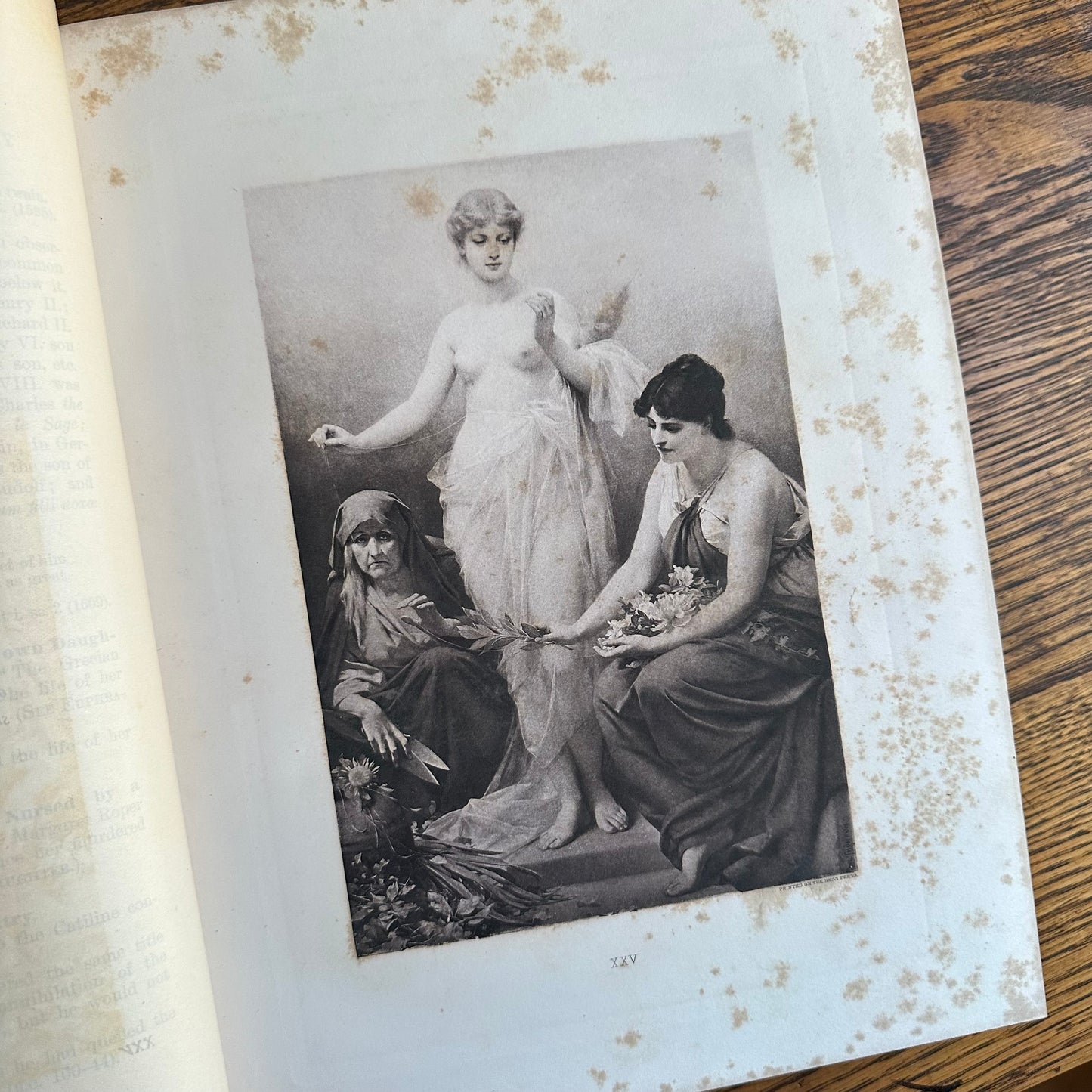 Character Sketches of Romance, Fiction and the Drama – 4-Volume Set – 1892 -1896 – Selmar Hess – Rev. E. Cobham Brewer