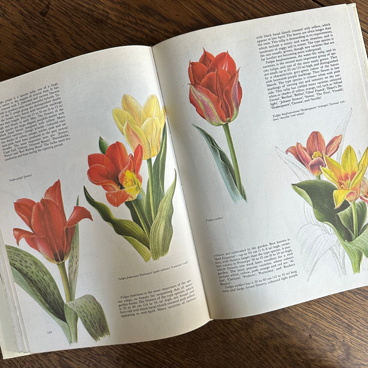 The Garden Flowers Book, 1986