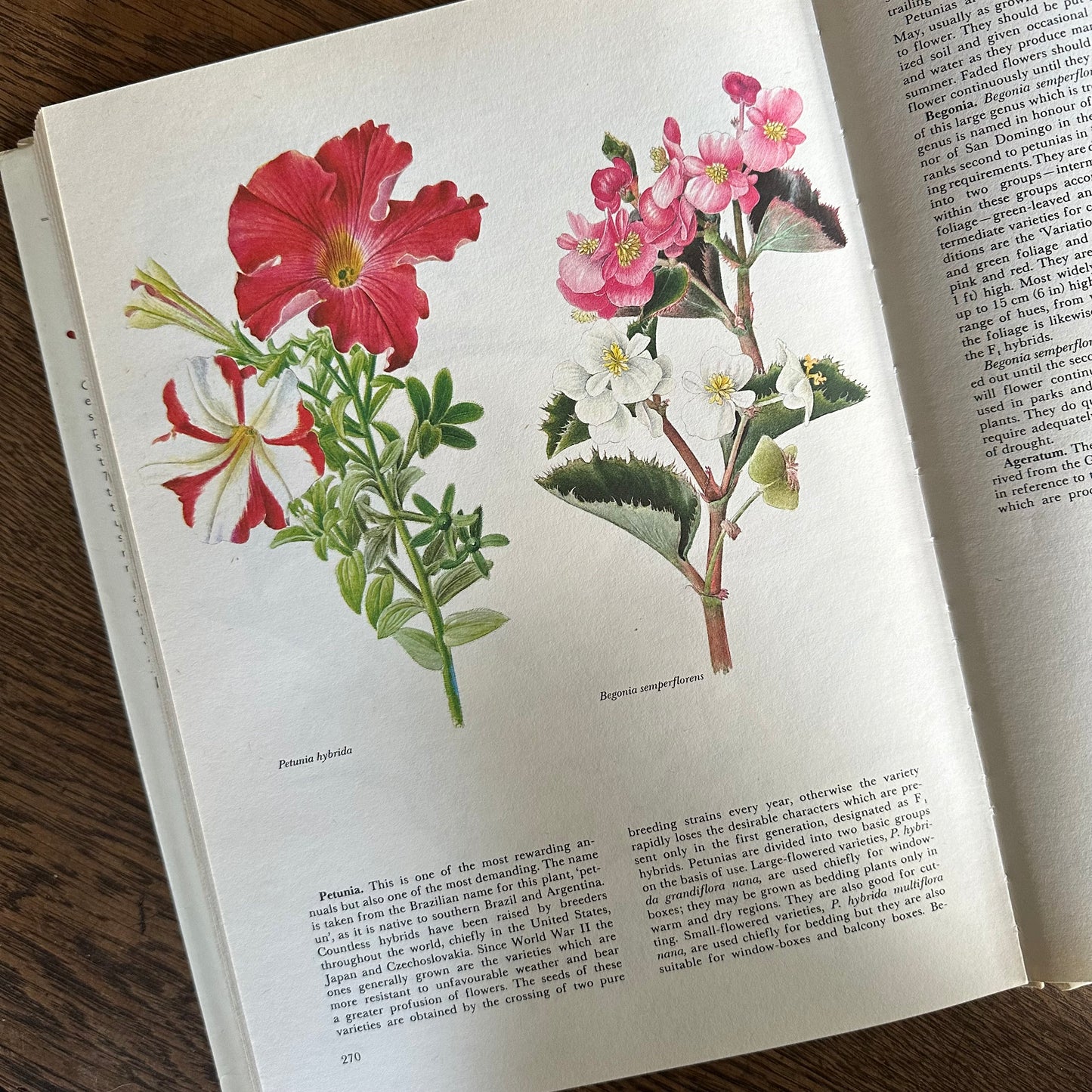 The Garden Flowers Book, 1986