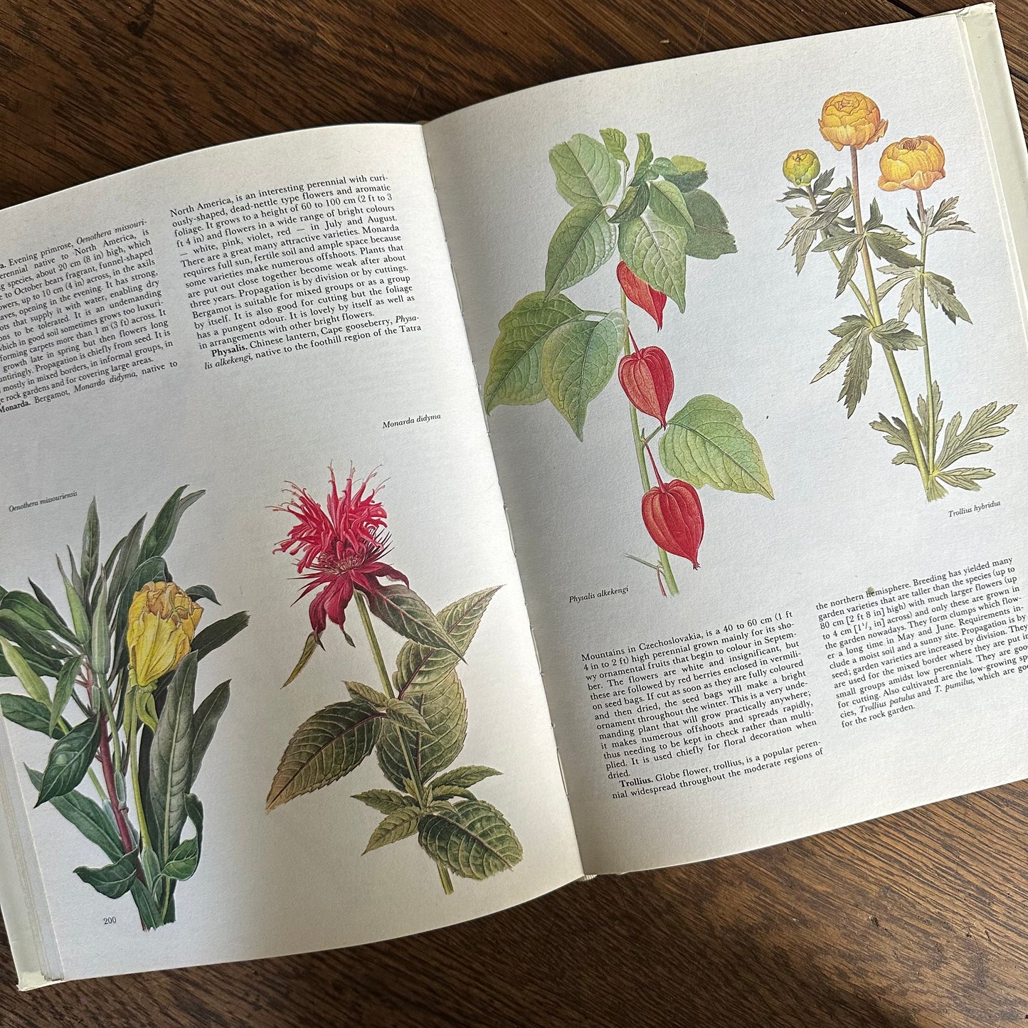 The Garden Flowers Book, 1986