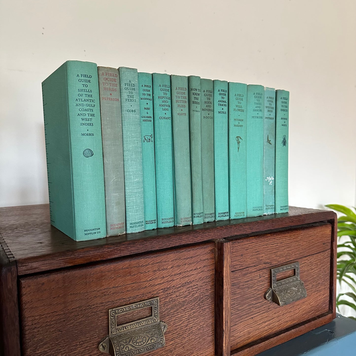 A Collection of 13 Vintage Peterson Field Guides!