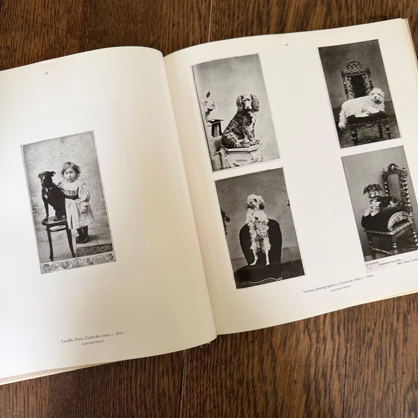 The Dog Observed: Photographs 1844-1983 by Ruth Silverman - Vintage Dog Photography Book