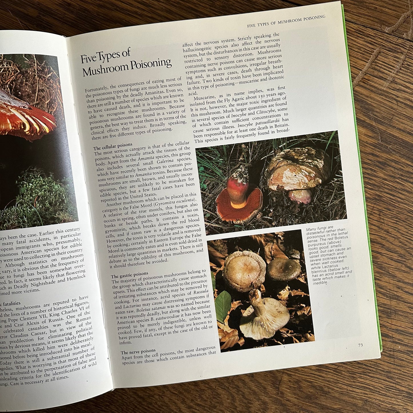 The Encyclopedia of Mushrooms, 1979