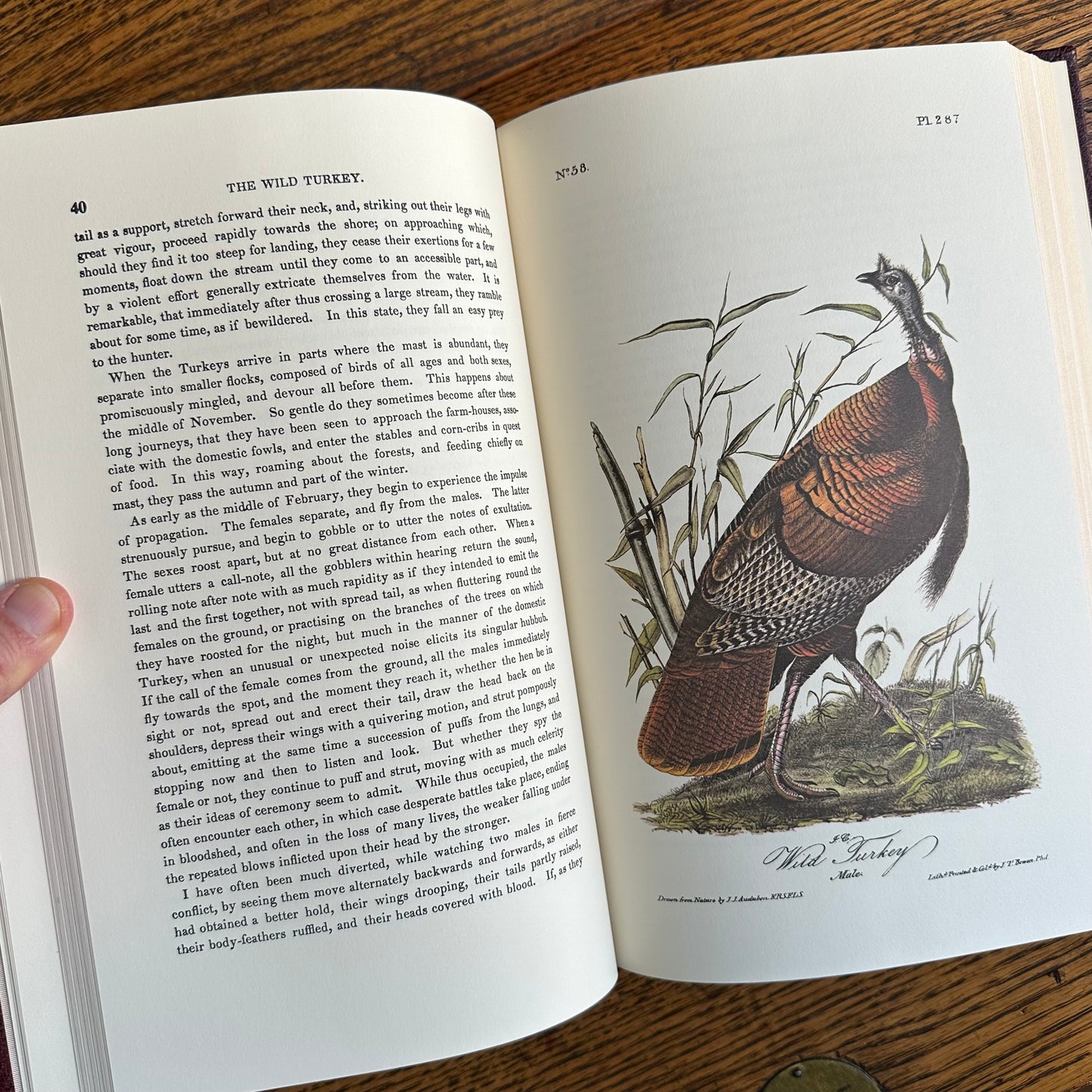 Set of 2 Slipcovered Volair Limited Editions of John James Audubon’s Classics - 1977