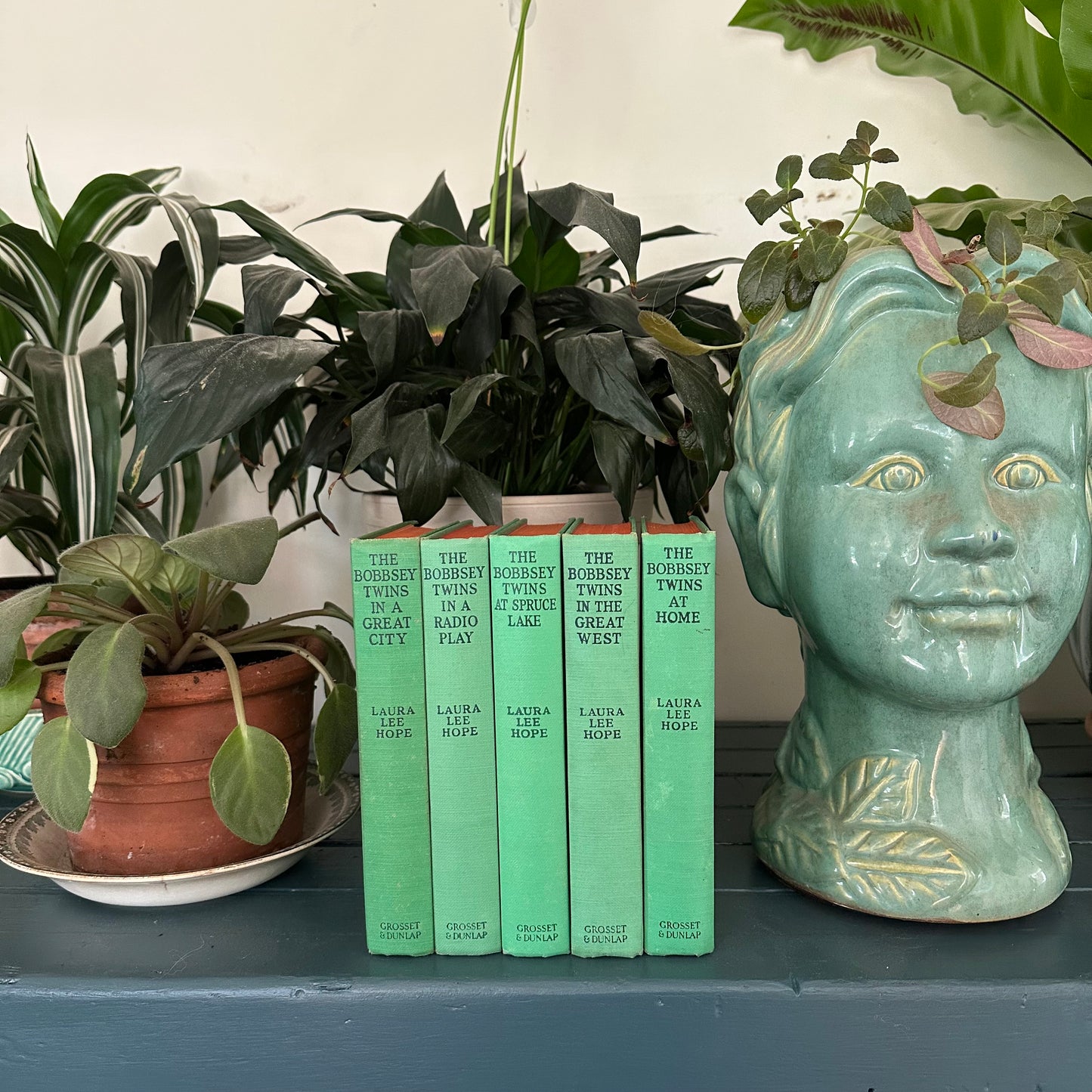 5 Bobbsey Twins Books from the Early 1900s