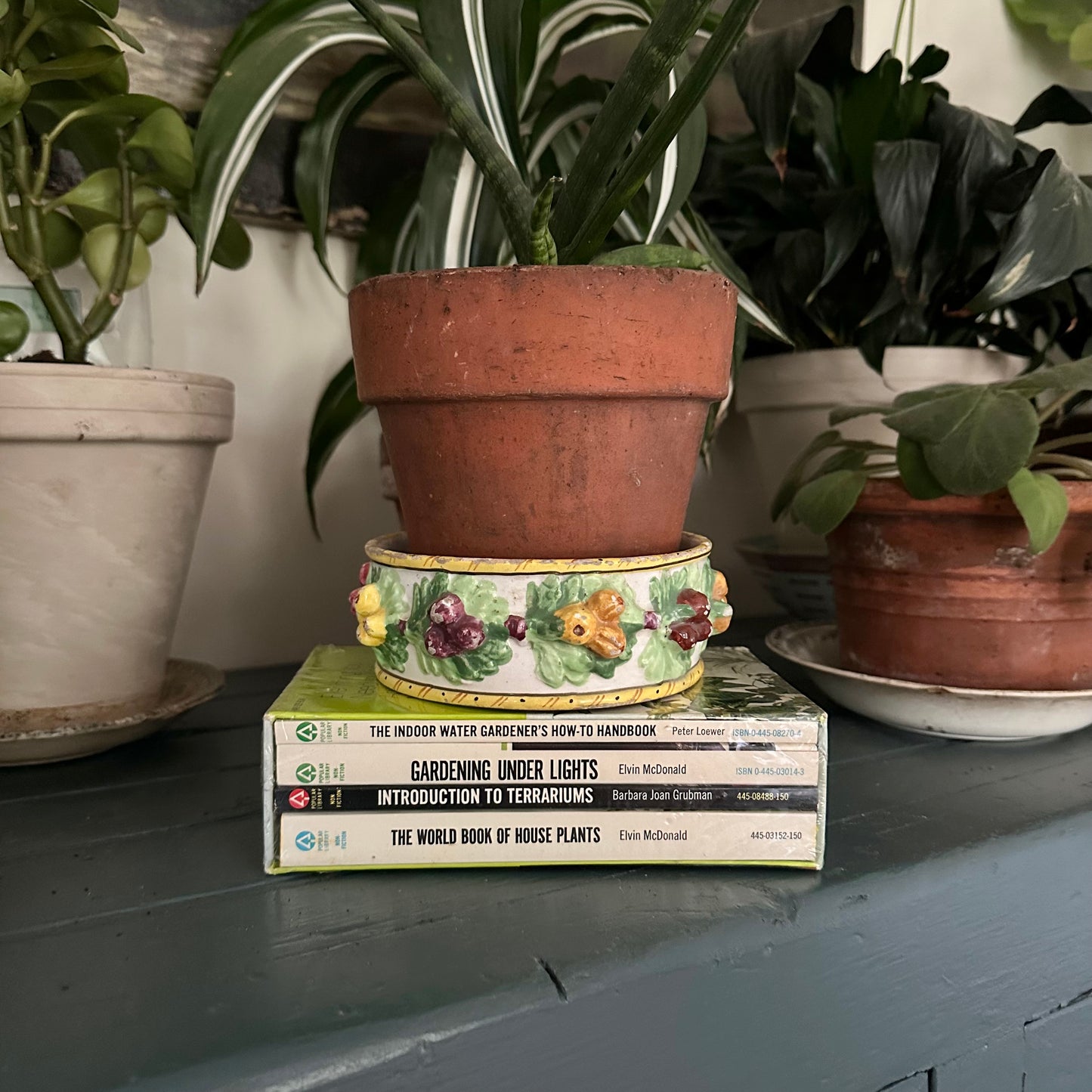 Everything You Need to Know About Growing House Plants… Successfully – 1970s Boxed Set of 4 Vintage Gardening Paperbacks – Still Sealed