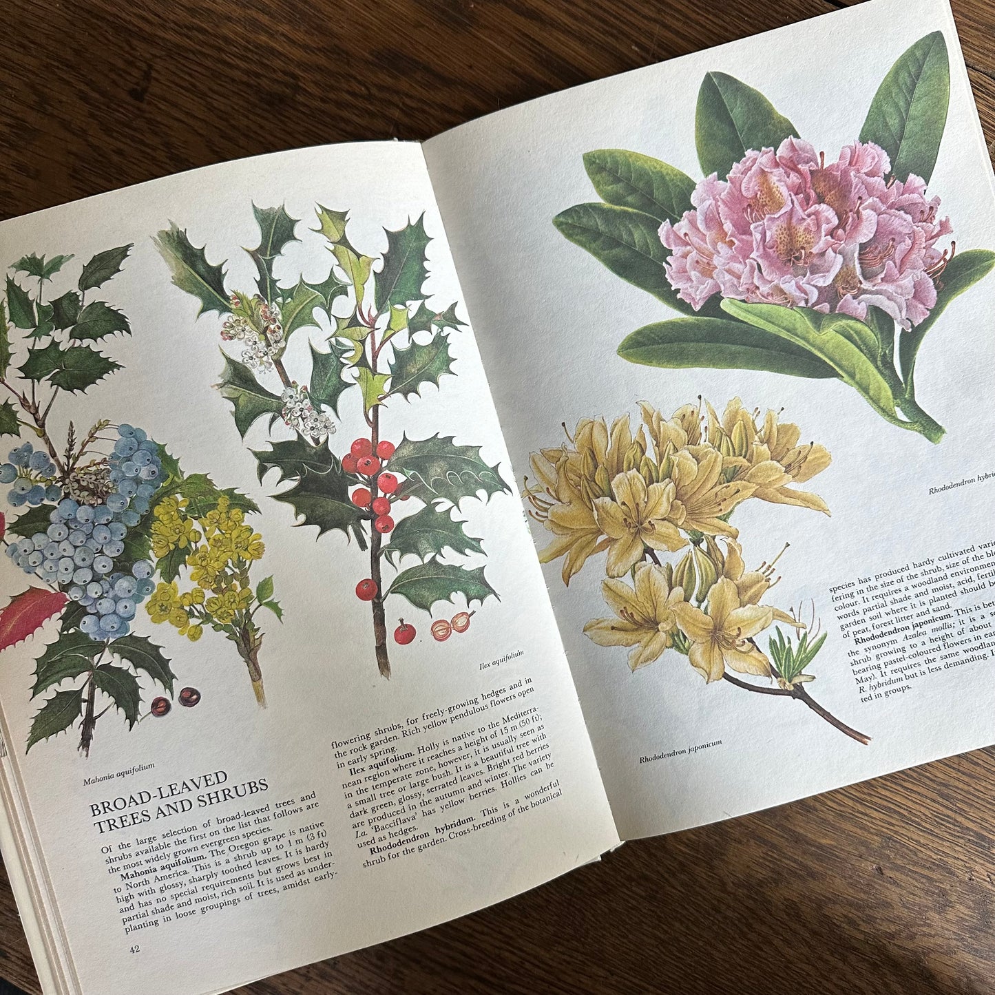 The Garden Flowers Book, 1986