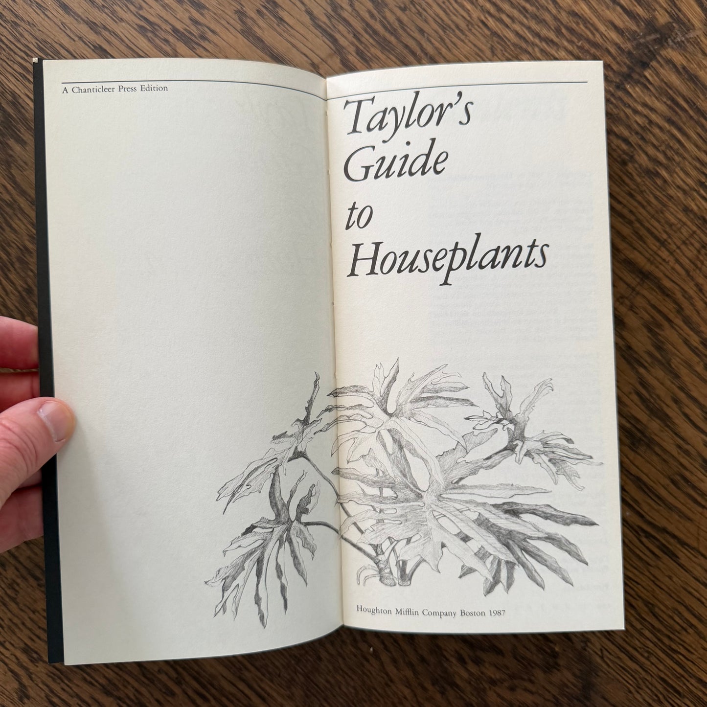 Taylor’s Guides to Gardening Set of 10 | Houghton Mifflin 1986–1996 | Bulbs Roses Herbs Houseplants Garden Design | Vintage Gardening Books