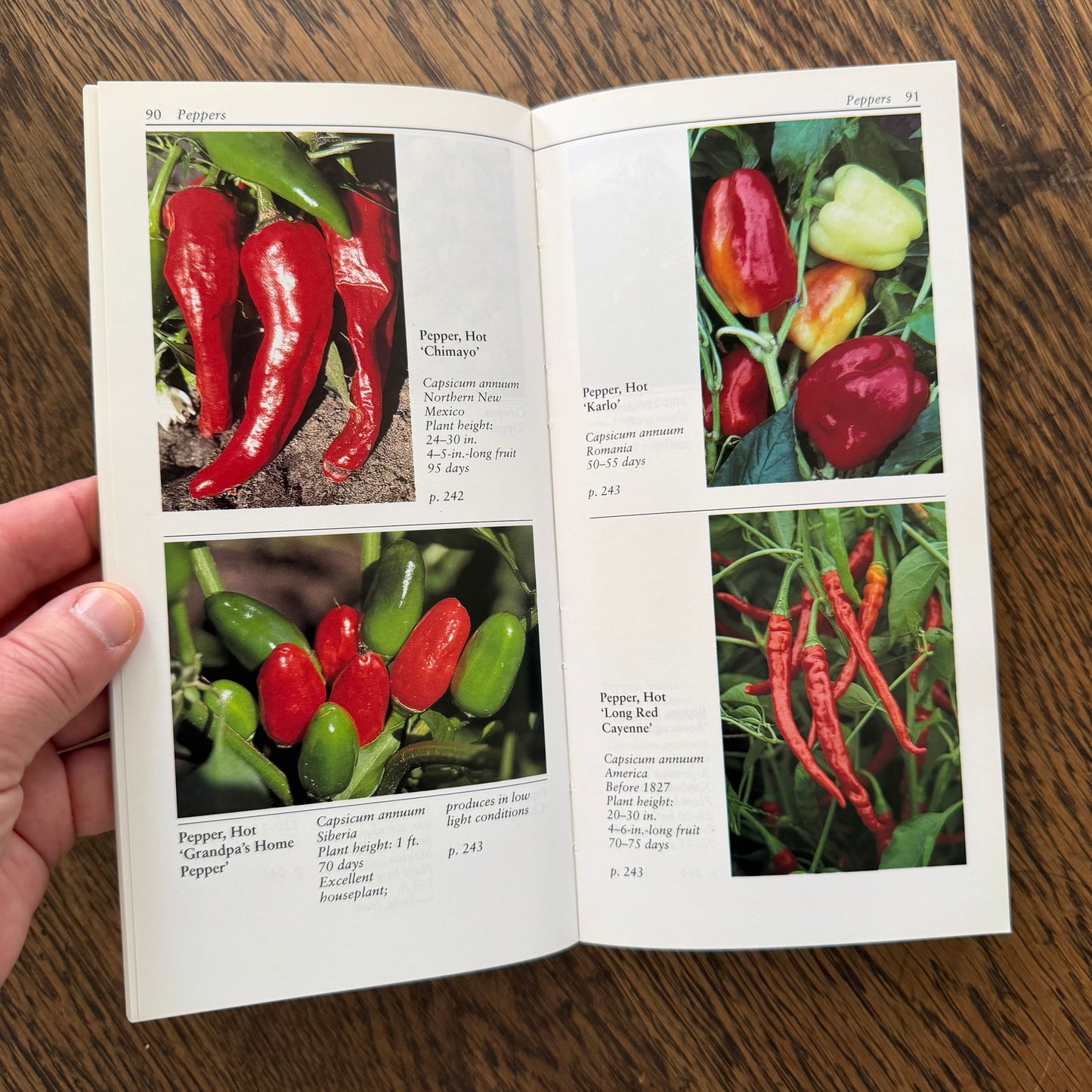 Taylor’s Guides to Gardening Set of 10 | Houghton Mifflin 1986–1996 | Bulbs Roses Herbs Houseplants Garden Design | Vintage Gardening Books