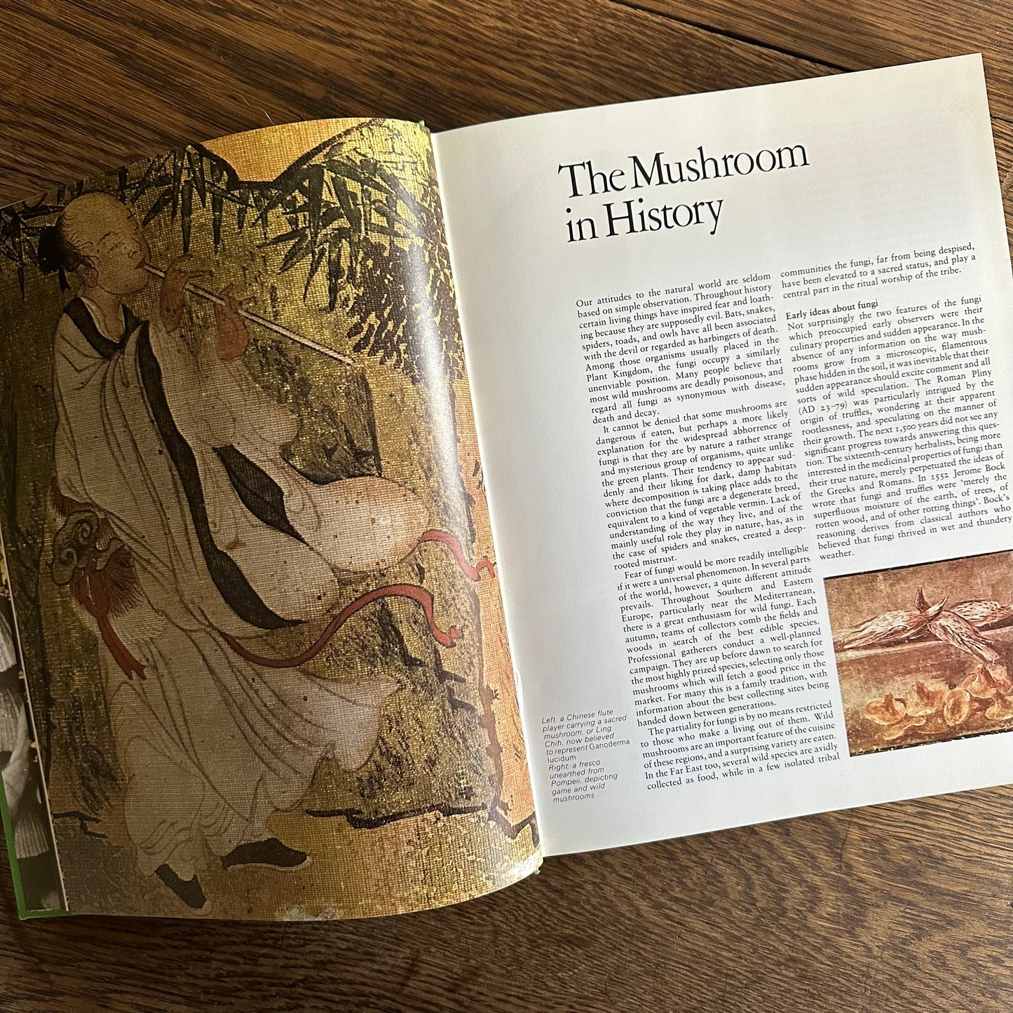 The Encyclopedia of Mushrooms, 1979