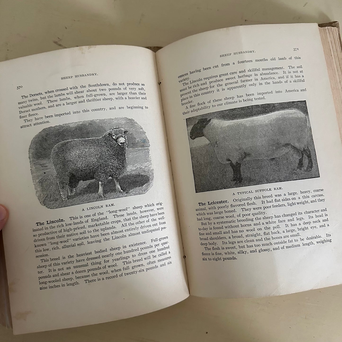 Hand-Book of Ready Reference for Farmers & Homesteaders - 1897