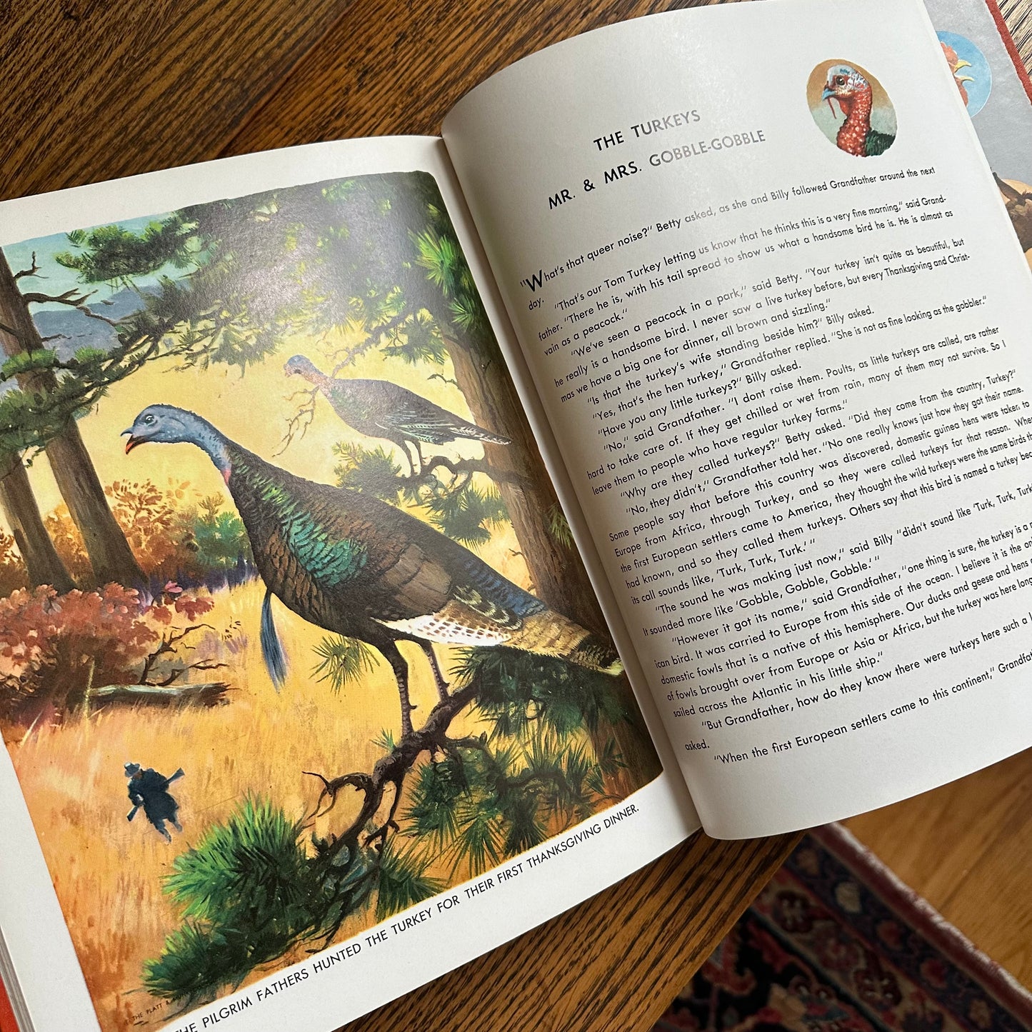 Animal Story Book - 1954