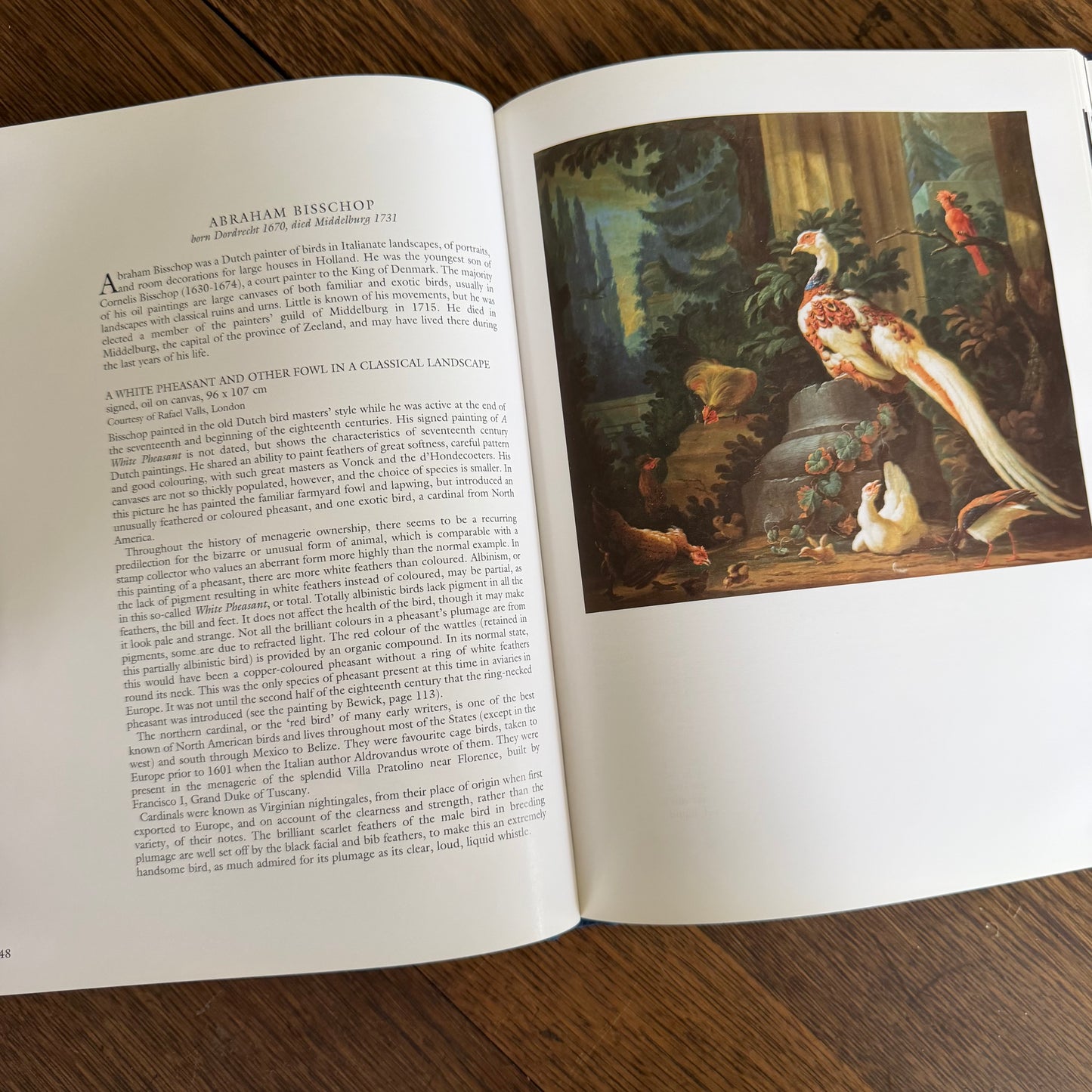Bird Painting - The Eighteenth Century by Christine E Jackson, 1994: Antique Collectors Club, Vintage Coffee Table Book
