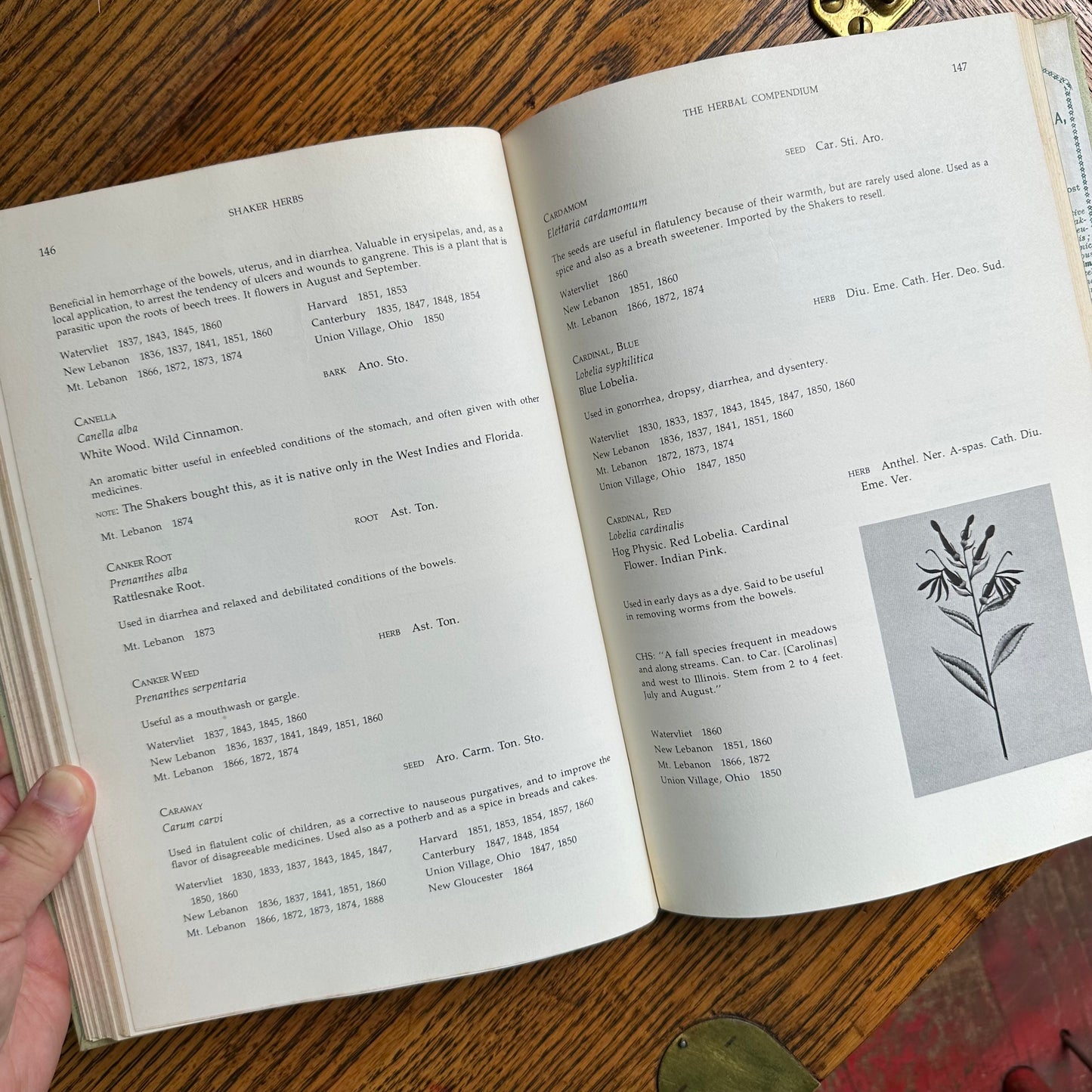 Shaker Herbs: A History and A Compendium - 1976