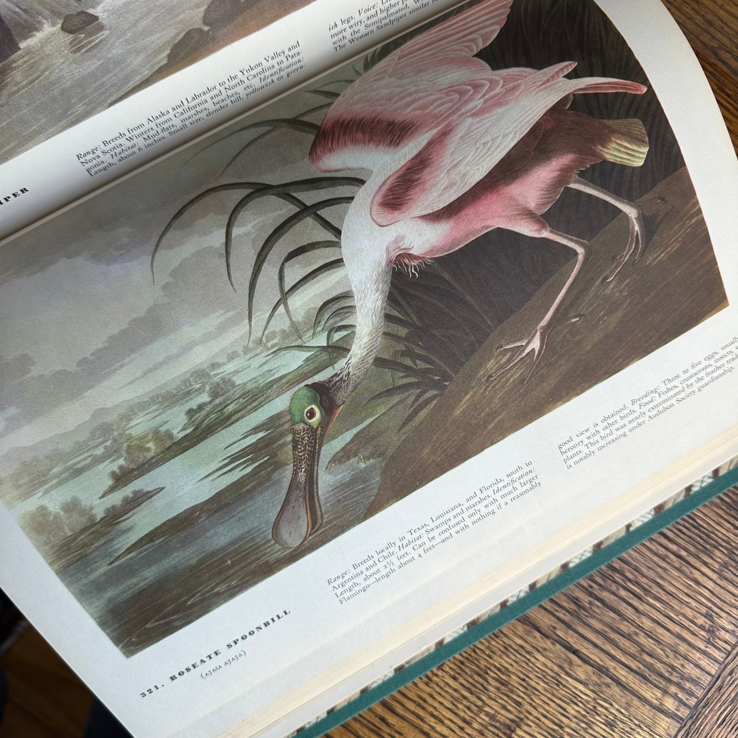 John James Audubon’s Birds of America - 1953