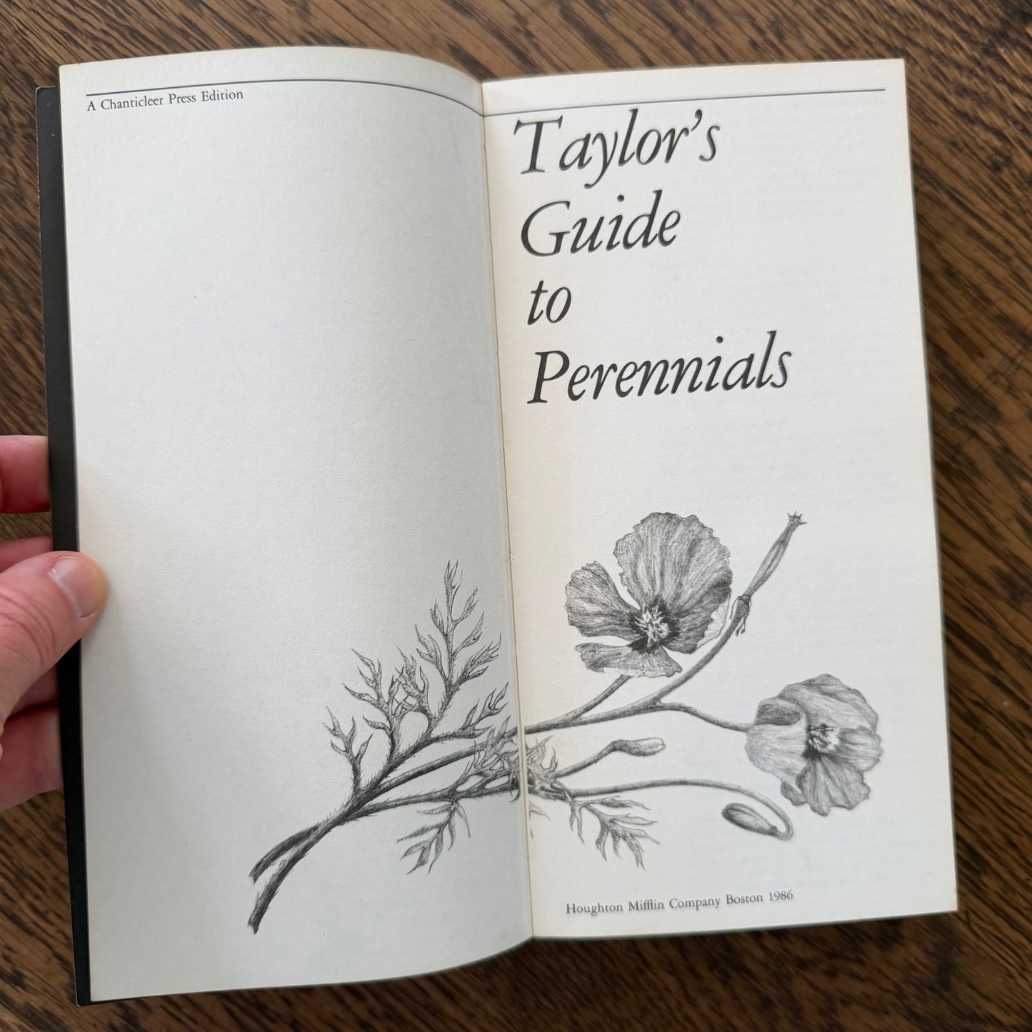 Taylor’s Guides to Gardening Set of 10 | Houghton Mifflin 1986–1996 | Bulbs Roses Herbs Houseplants Garden Design | Vintage Gardening Books