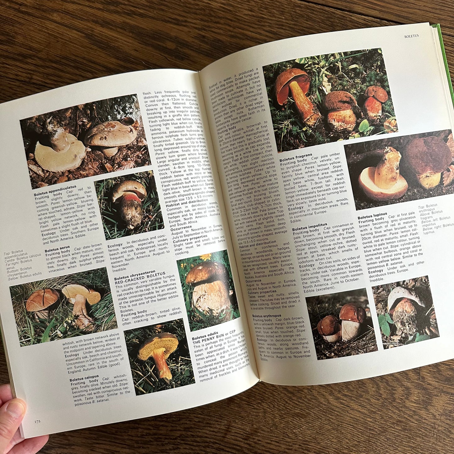 The Encyclopedia of Mushrooms, 1979