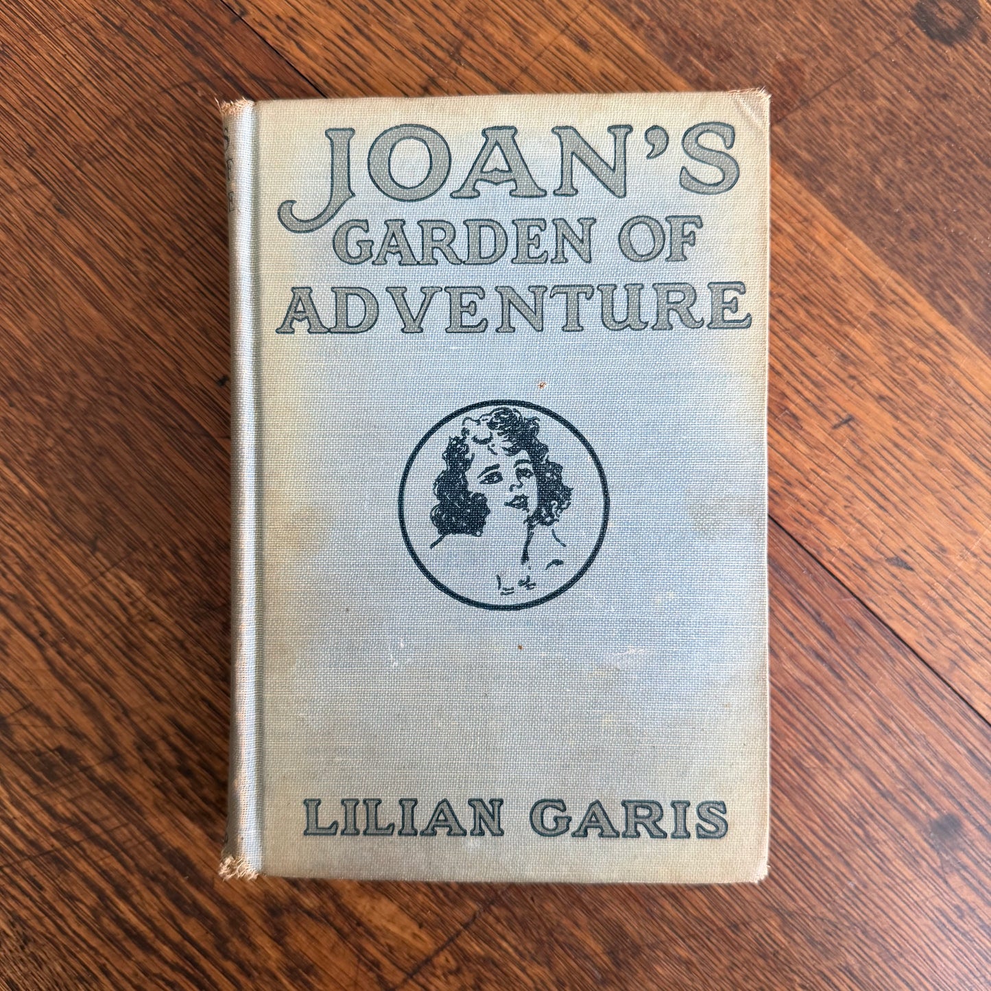 6 Antique Fiction Books in Fabulous Shades of Blue - 1900-1925 - Lillian Garis Laura Lee Hope Gene Stratton Porter, etc.