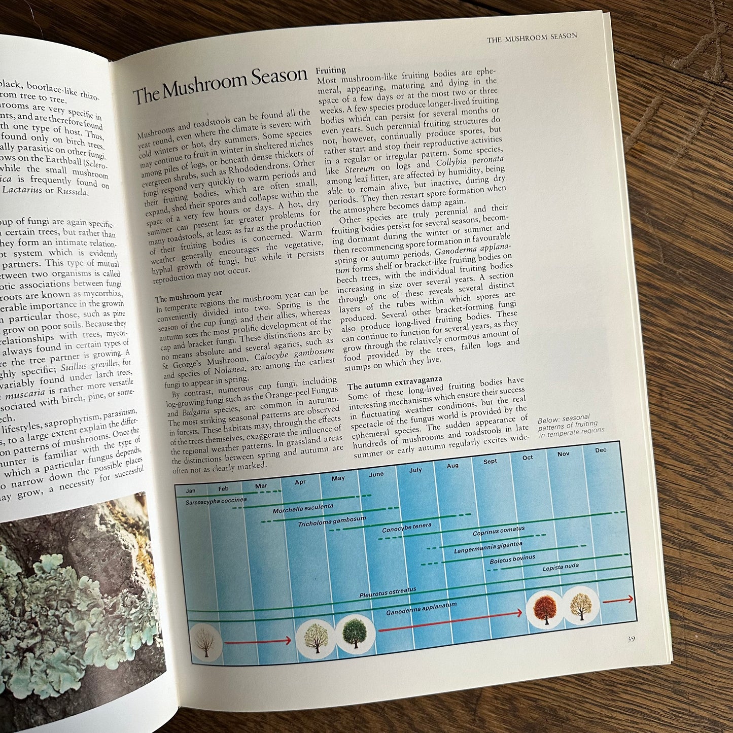 The Encyclopedia of Mushrooms, 1979