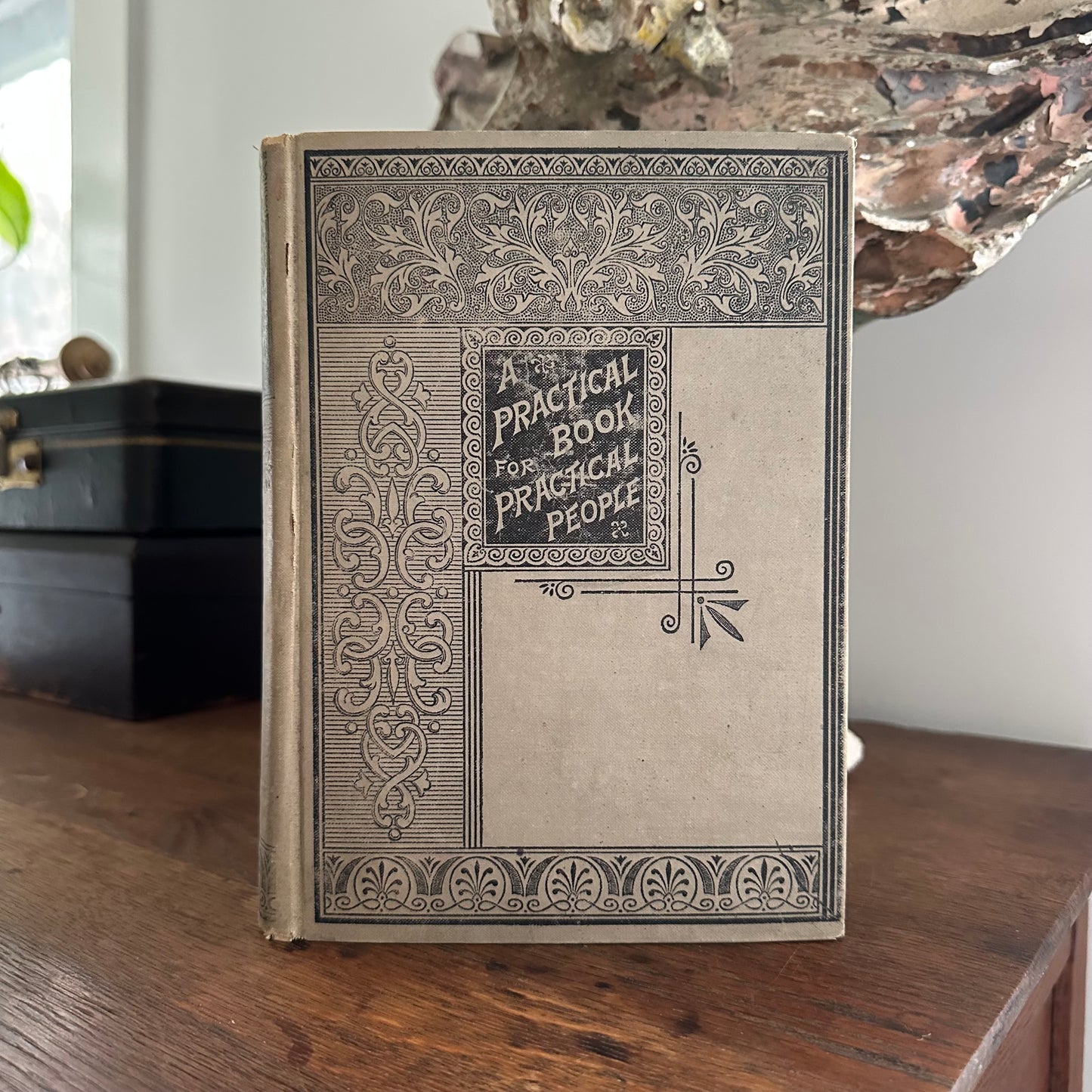 A Practical Book for Practical People - 1895