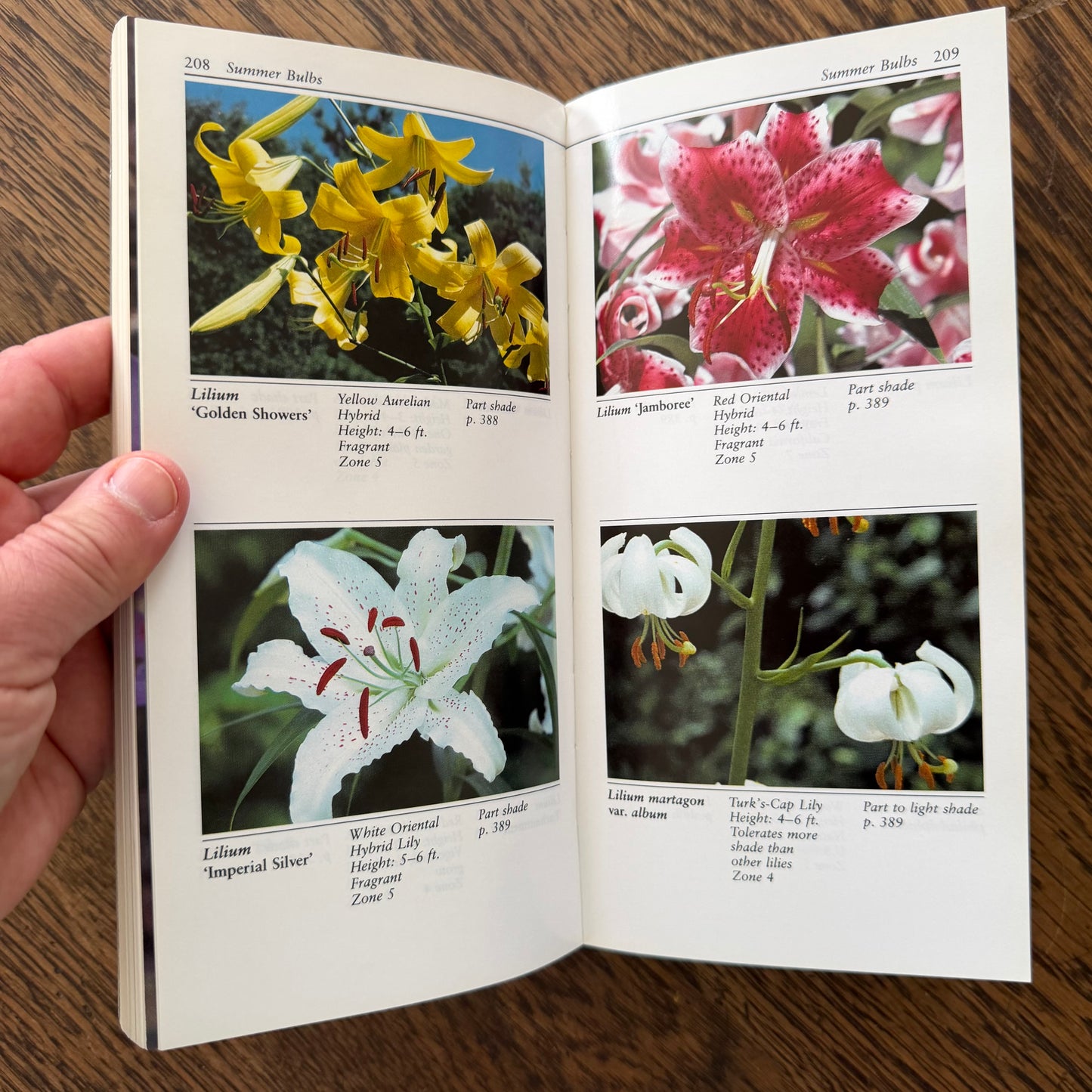 Taylor’s Guides to Gardening Set of 10 | Houghton Mifflin 1986–1996 | Bulbs Roses Herbs Houseplants Garden Design | Vintage Gardening Books