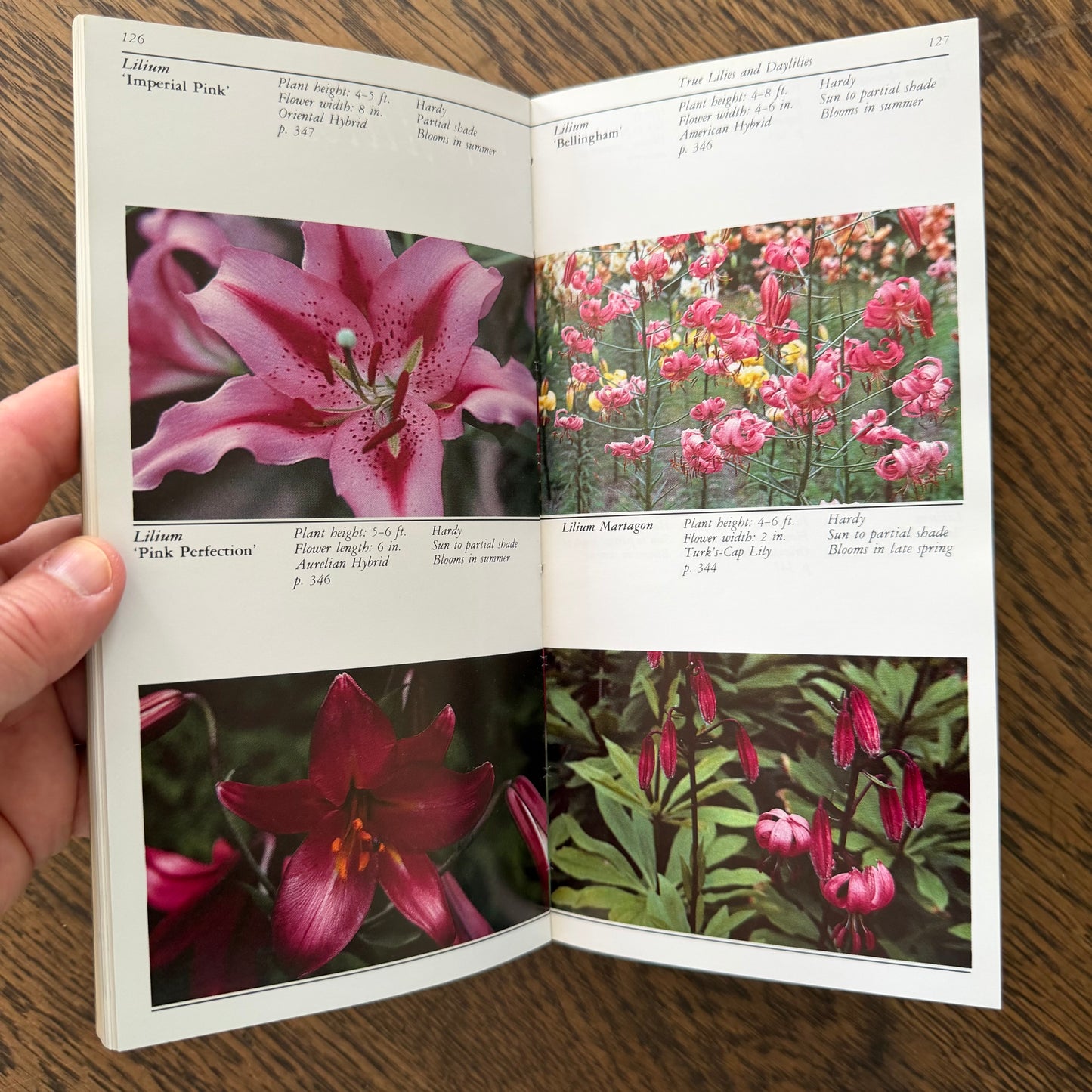 Taylor’s Guides to Gardening Set of 10 | Houghton Mifflin 1986–1996 | Bulbs Roses Herbs Houseplants Garden Design | Vintage Gardening Books