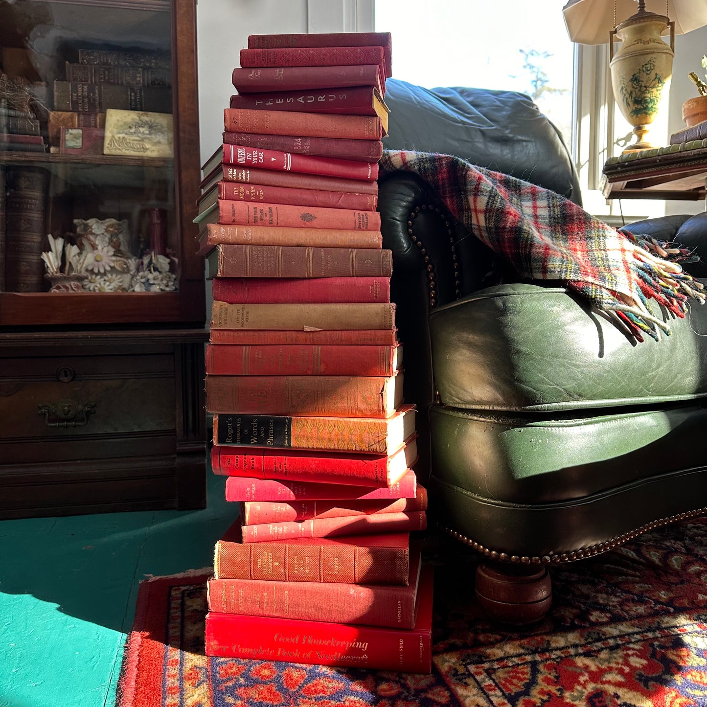 Valentine’s Day is Coming!  And YOU Need a Stack of 25 Red Books!