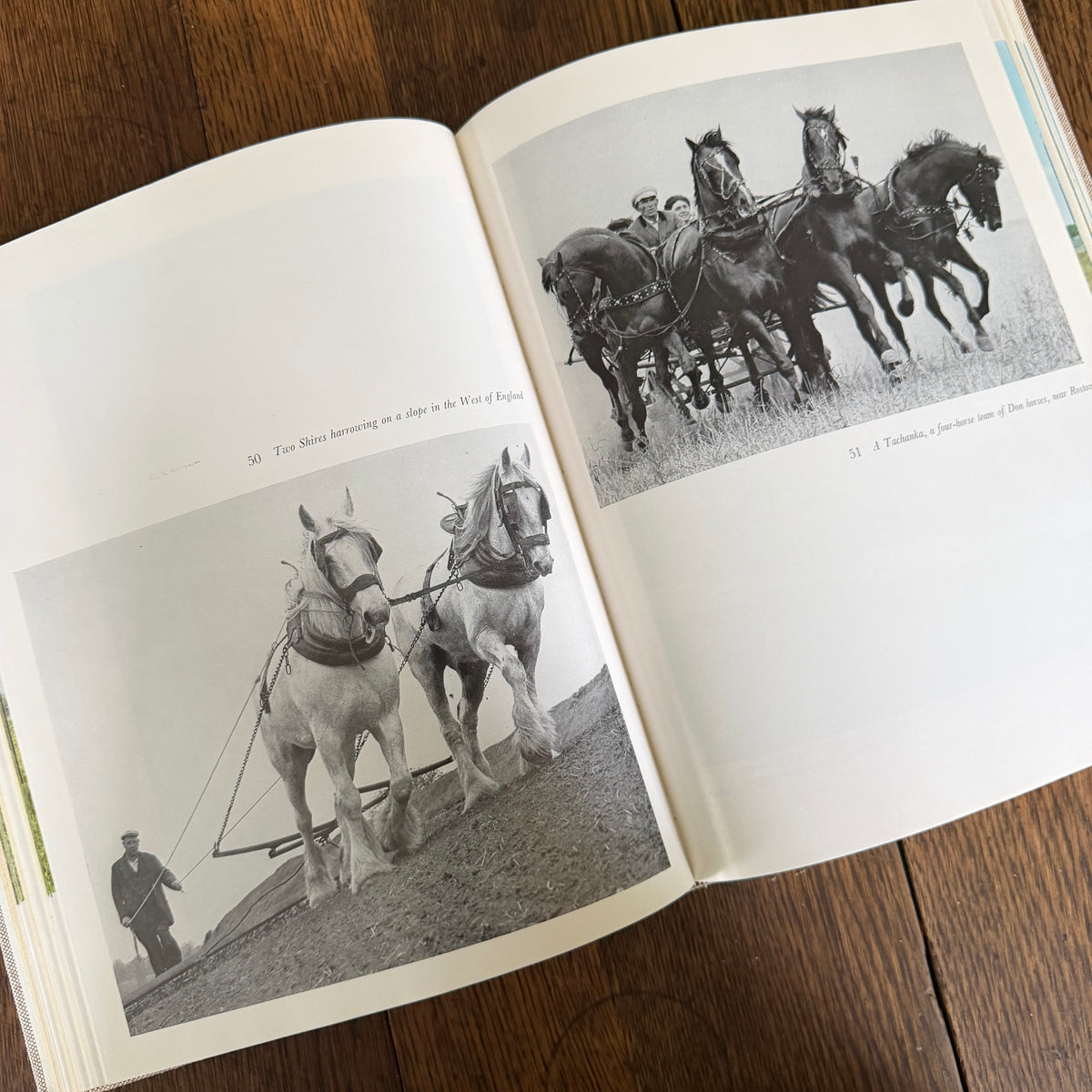 The World’s Finest Horses and Ponies - 1971 Vintage Coffee Table Book by Richard Glyn with Photos from Sally Anne Thompson