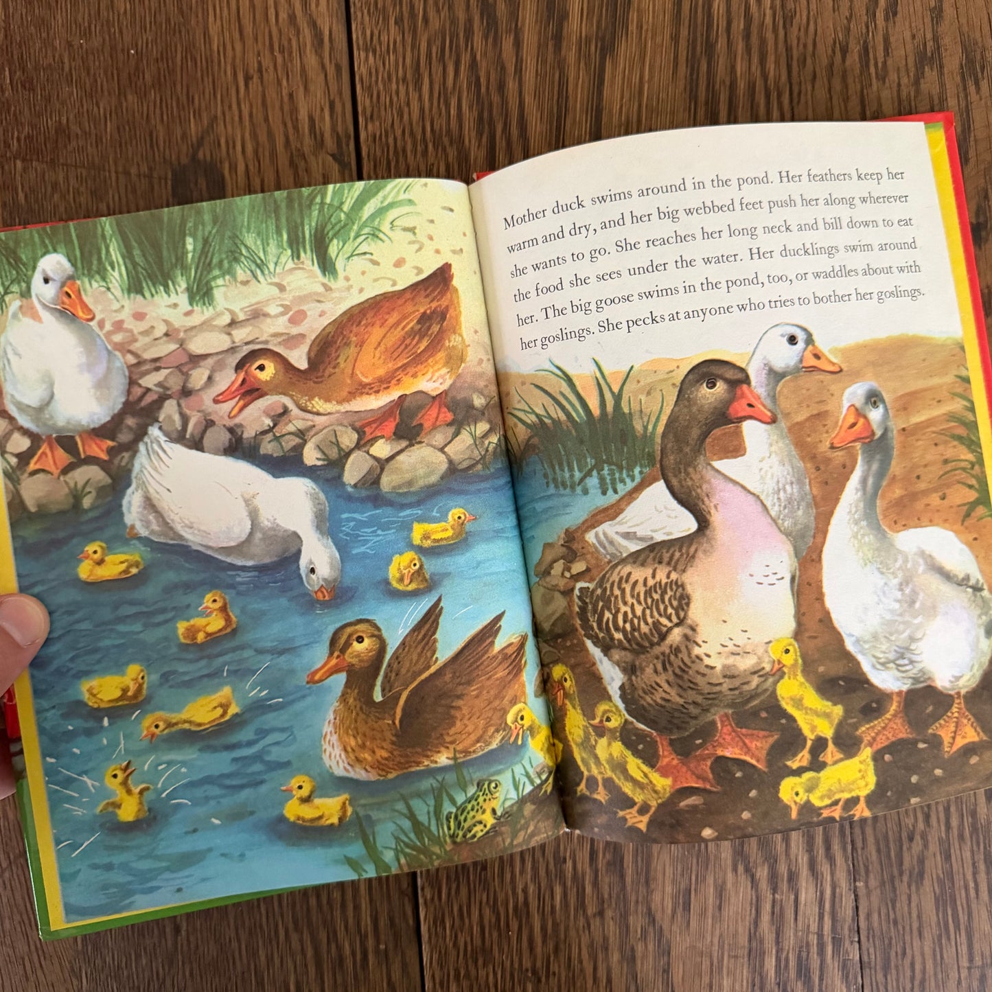 Vintage Wonder Books for Kids - Set of 11 Illustrated Children’s Books - 1940s 1950s - Nursery Story Books / Mid-Century
