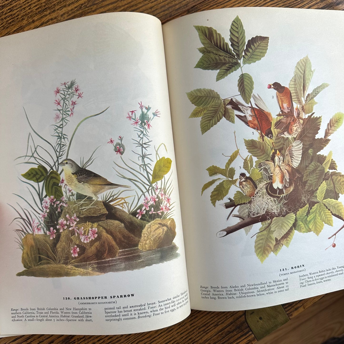 John James Audubon’s Birds of America - 1953