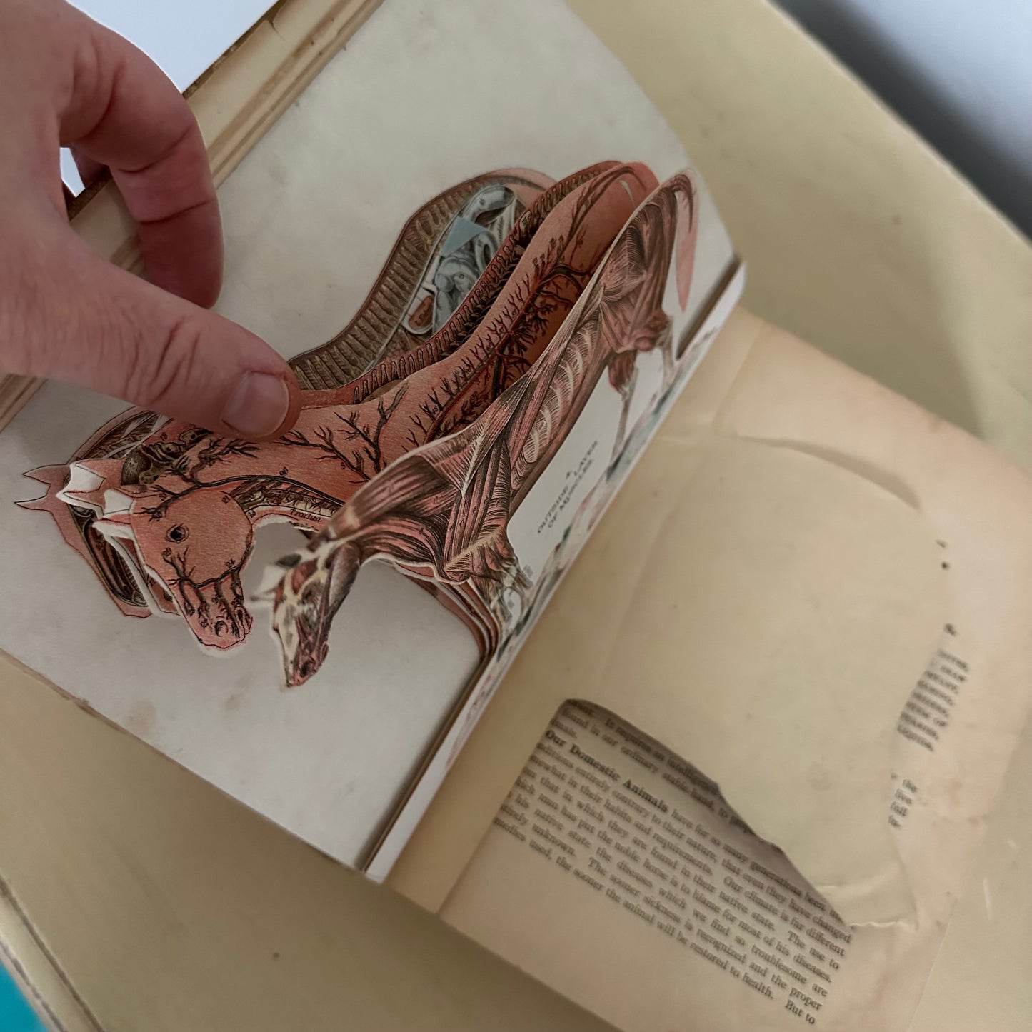 Hand-Book of Ready Reference for Farmers & Homesteaders - 1897