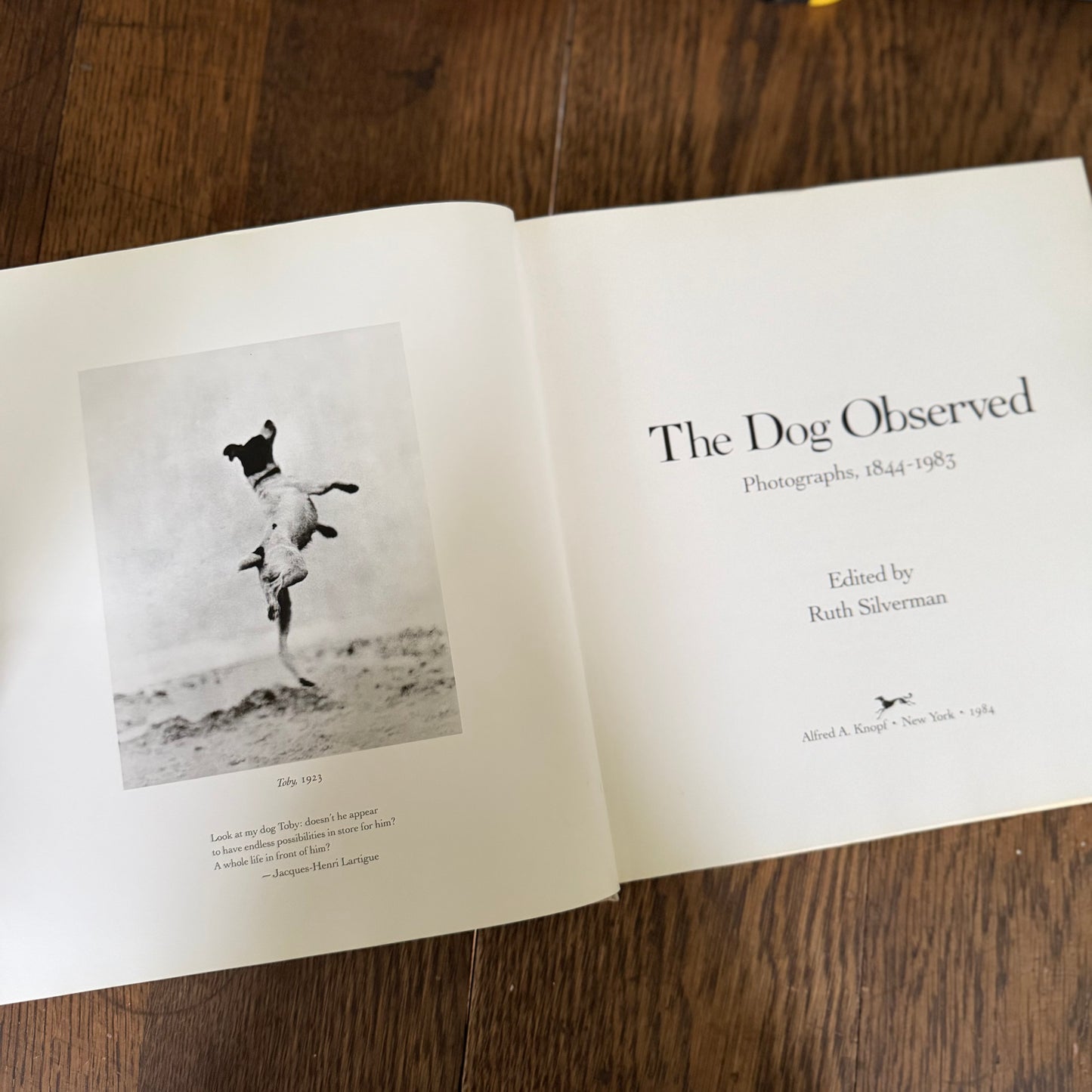 The Dog Observed: Photographs 1844-1983 by Ruth Silverman - Vintage Dog Photography Book