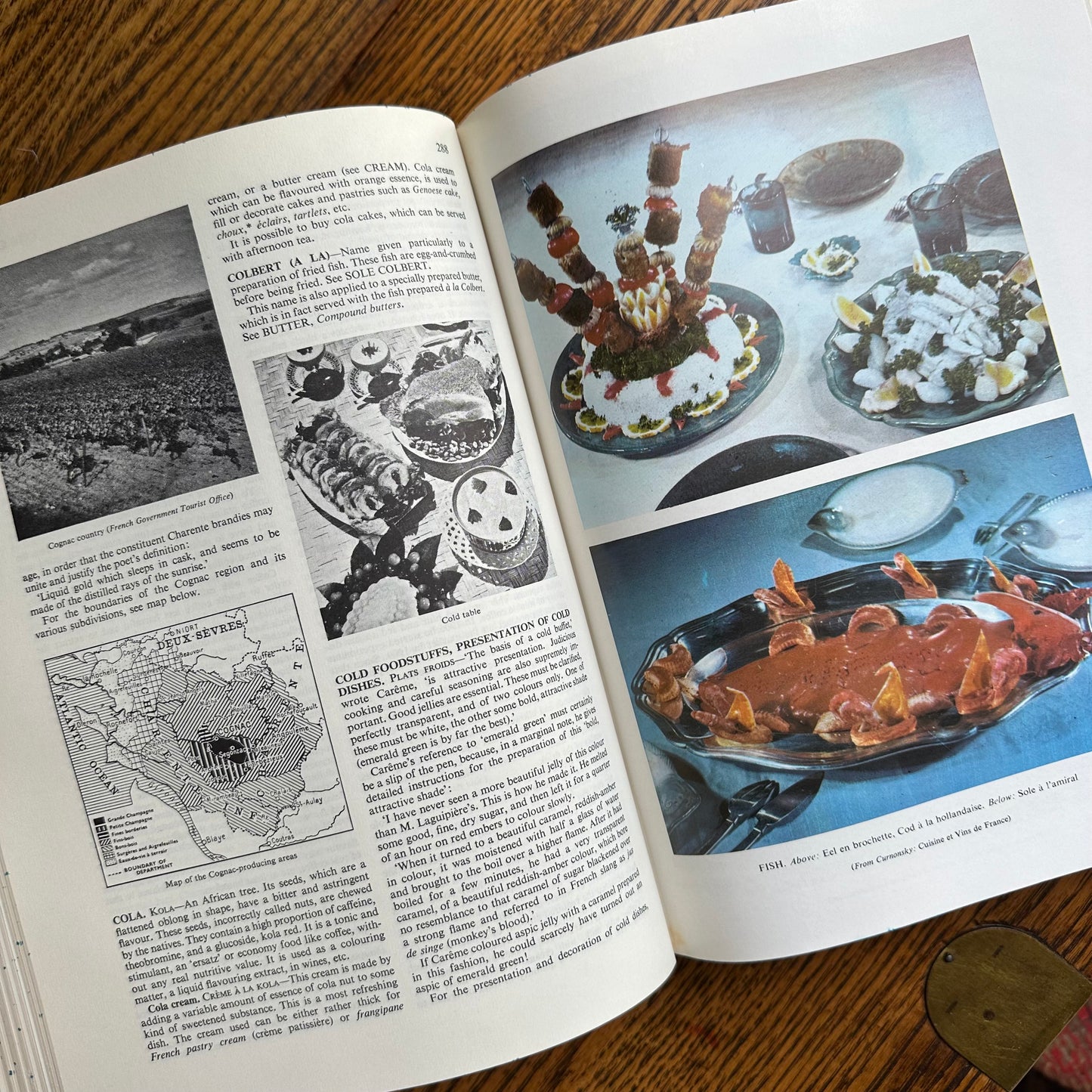 Larousse Gastronomique: The Encyclopedia of Food, Wine & Cookery - 1966