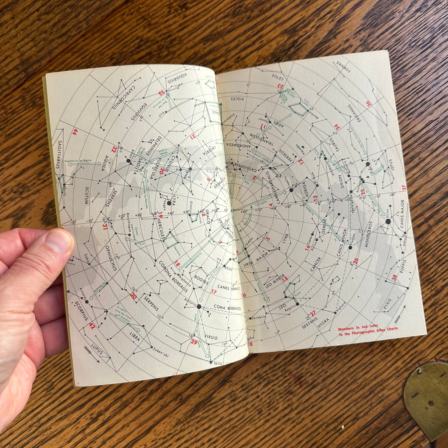 Set of 6 Vintage Peterson Field Guides | Softcover 1970s–80s Nature Books | Birds, Ferns, Wildflowers, Shells, Stars, Rocks