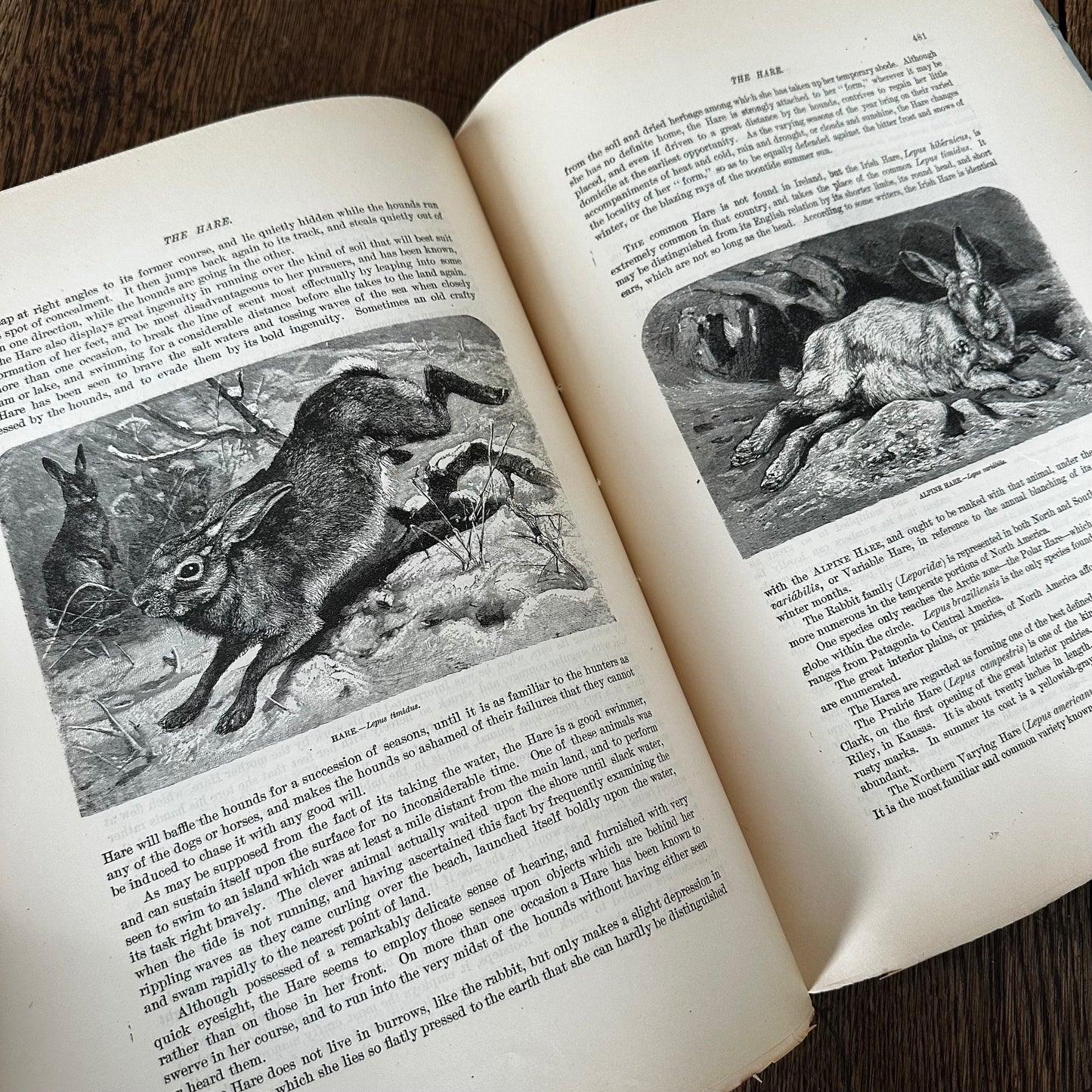 Complete 60-Part Set — Animate Creation: A Popular Edition of Our Living World, 1885-1898