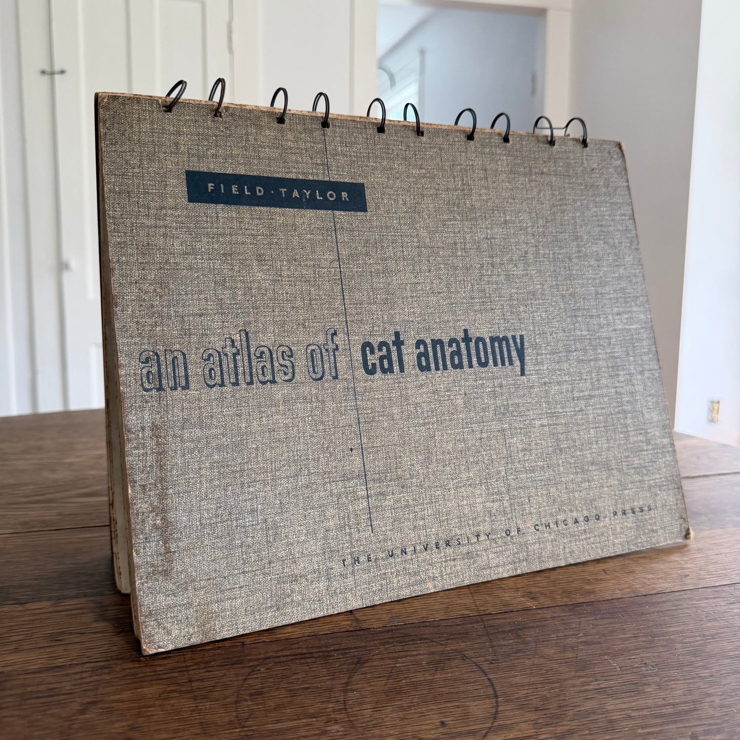 An Atlas of Cat Anatomy - 1952 - by Hazel E Field with Illustrations by Mary E Taylor - Vintage Veterinary Book / Flip Chart / Manual