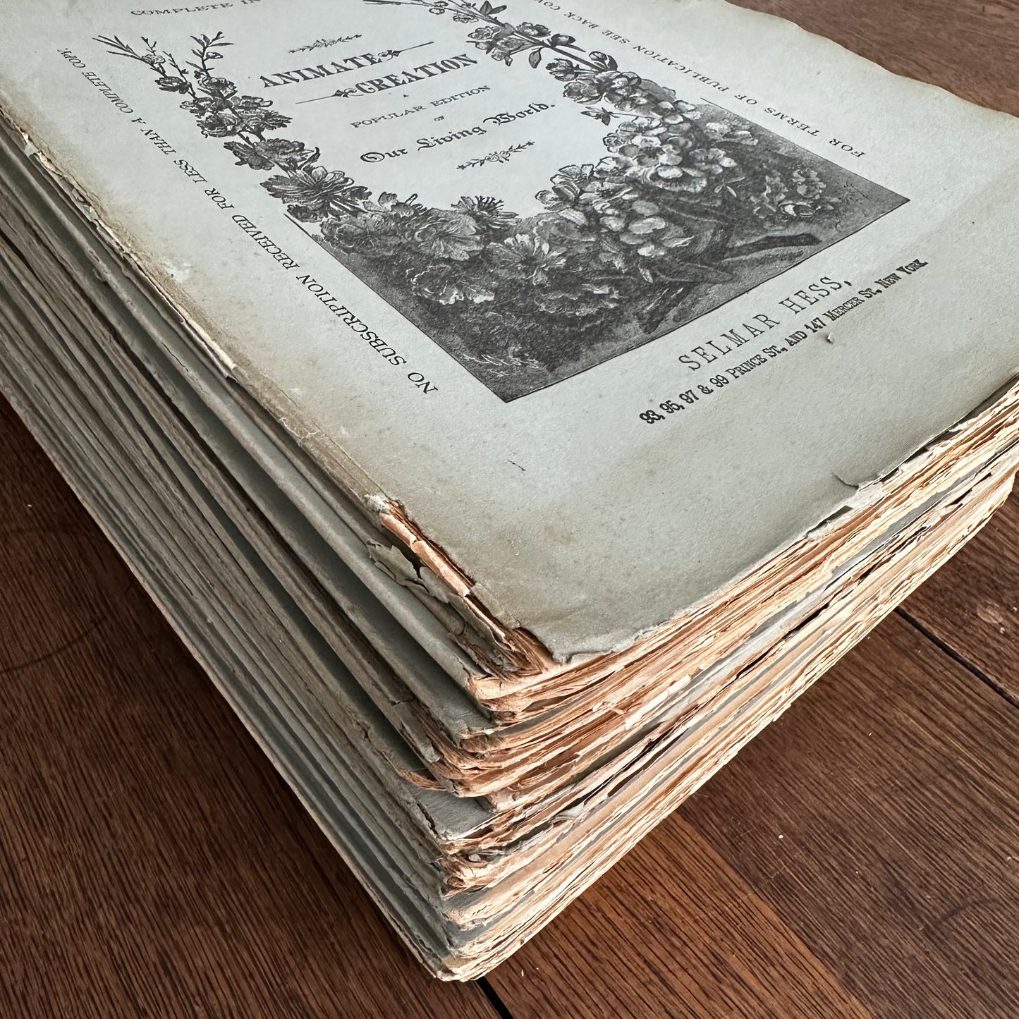 Complete 60-Part Set — Animate Creation: A Popular Edition of Our Living World, 1885-1898