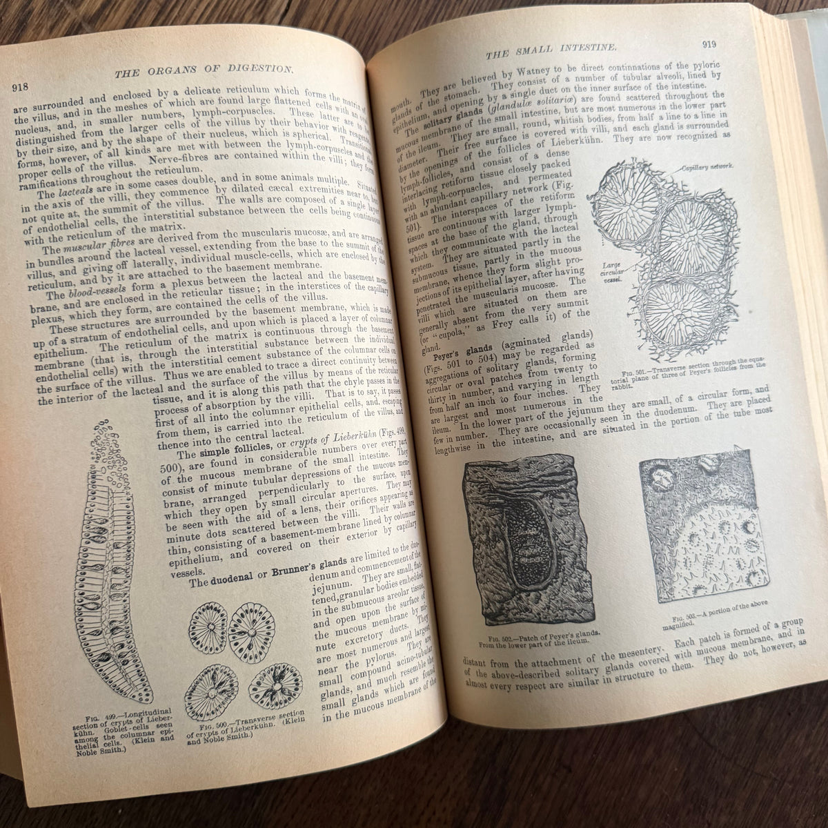 Gray’s Anatomy, 1977 Classic Collector’s Edition — Henry Gray, Descriptive & Surgical Anatomy | Bounty Books Hardcover, 780 Illustrations