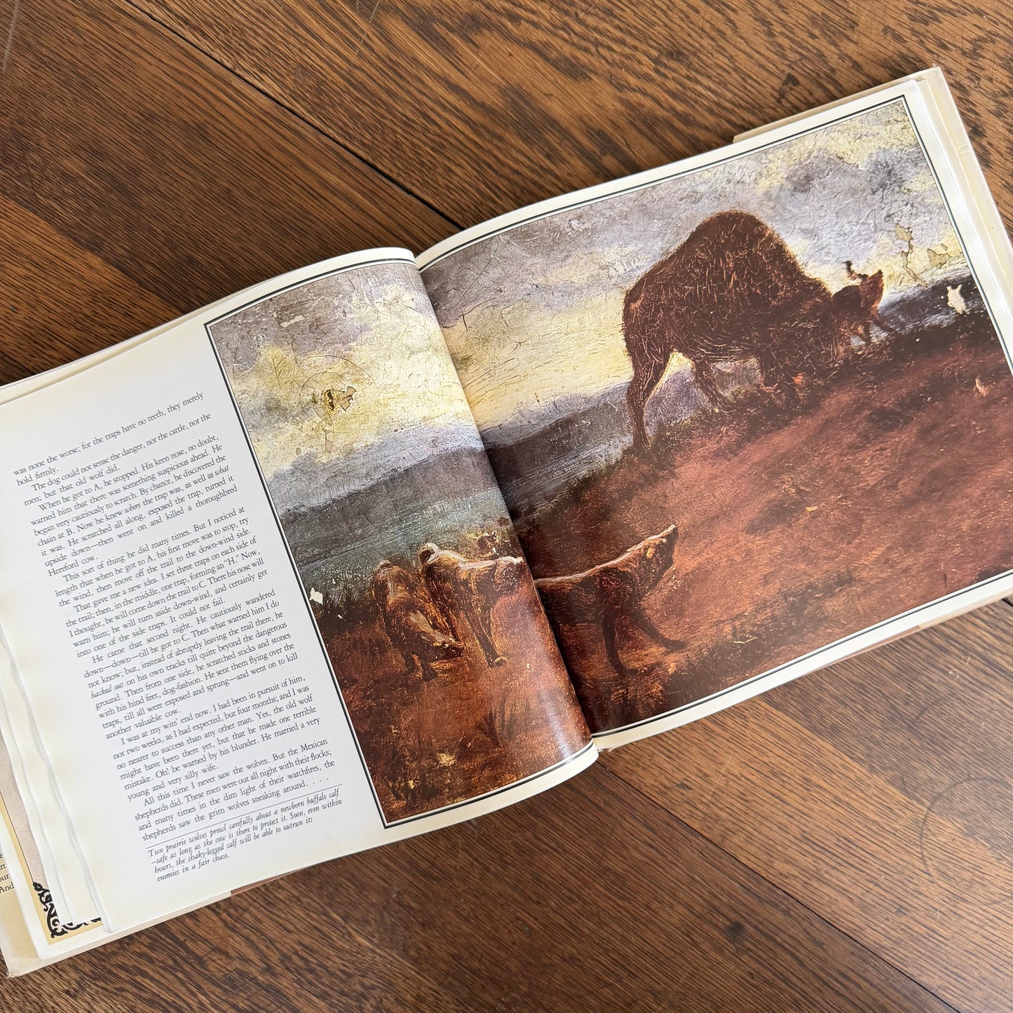 The Worlds of Ernest Thompson Seton -  1976 - First Edition - Edited by John G. Samson- Vintage Wildlife Art Nature Book