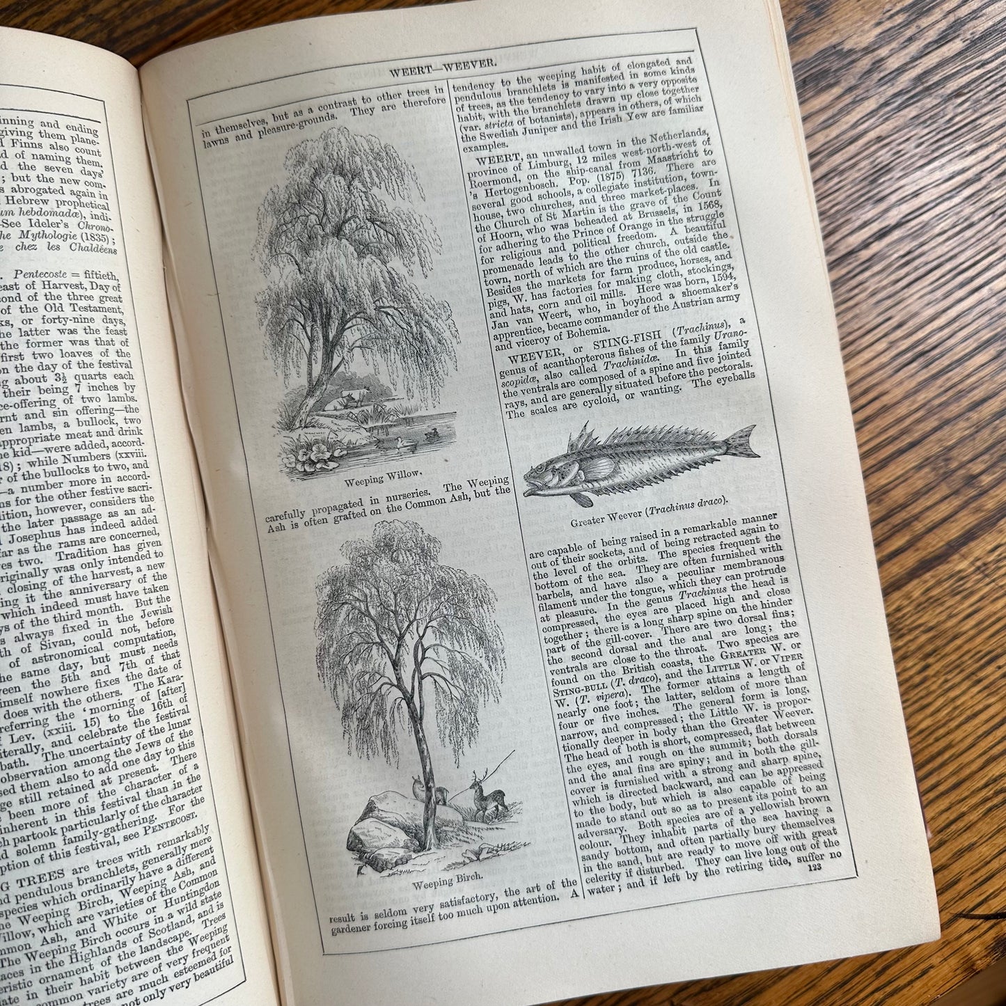 Chambers’s Encyclopaedia - 1877 - in 10 Volumes