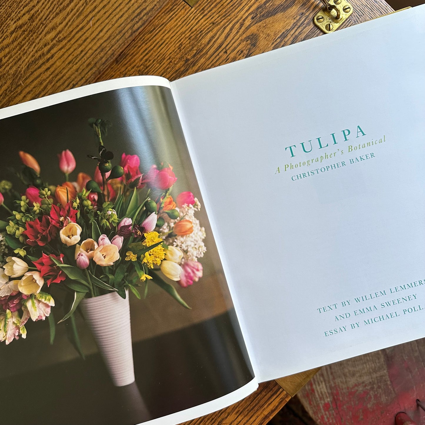 Tulipa: A Photographer’s Botanical, 1999