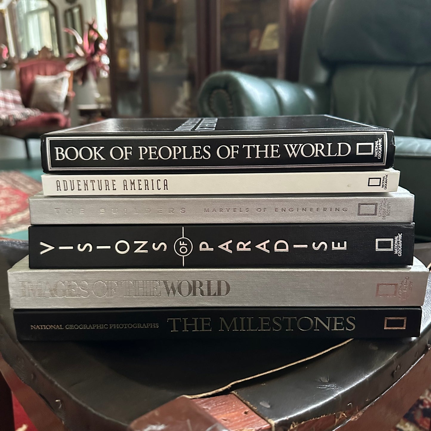 Stack of 6 Vintage NatGeo Coffee Table Books in Silver, White, and Black