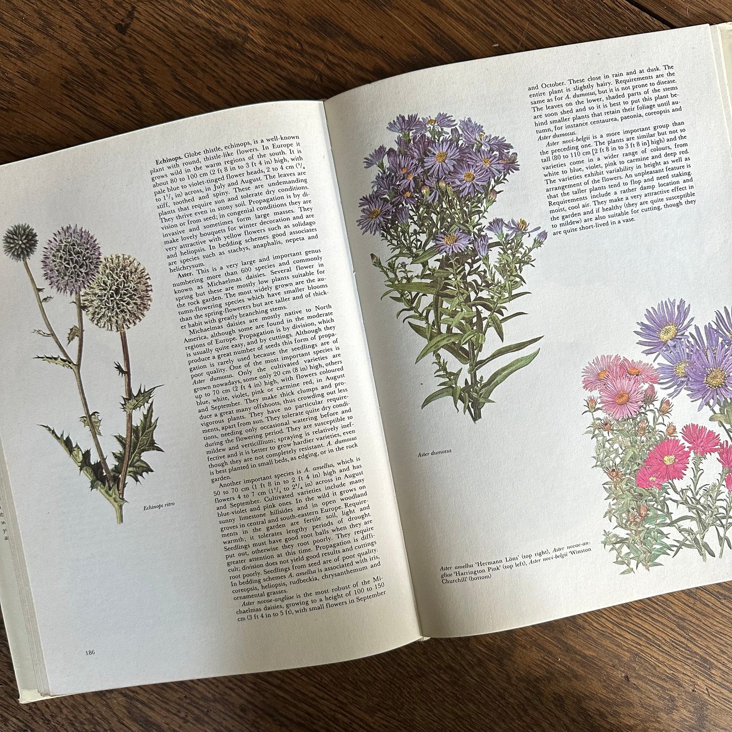 The Garden Flowers Book, 1986