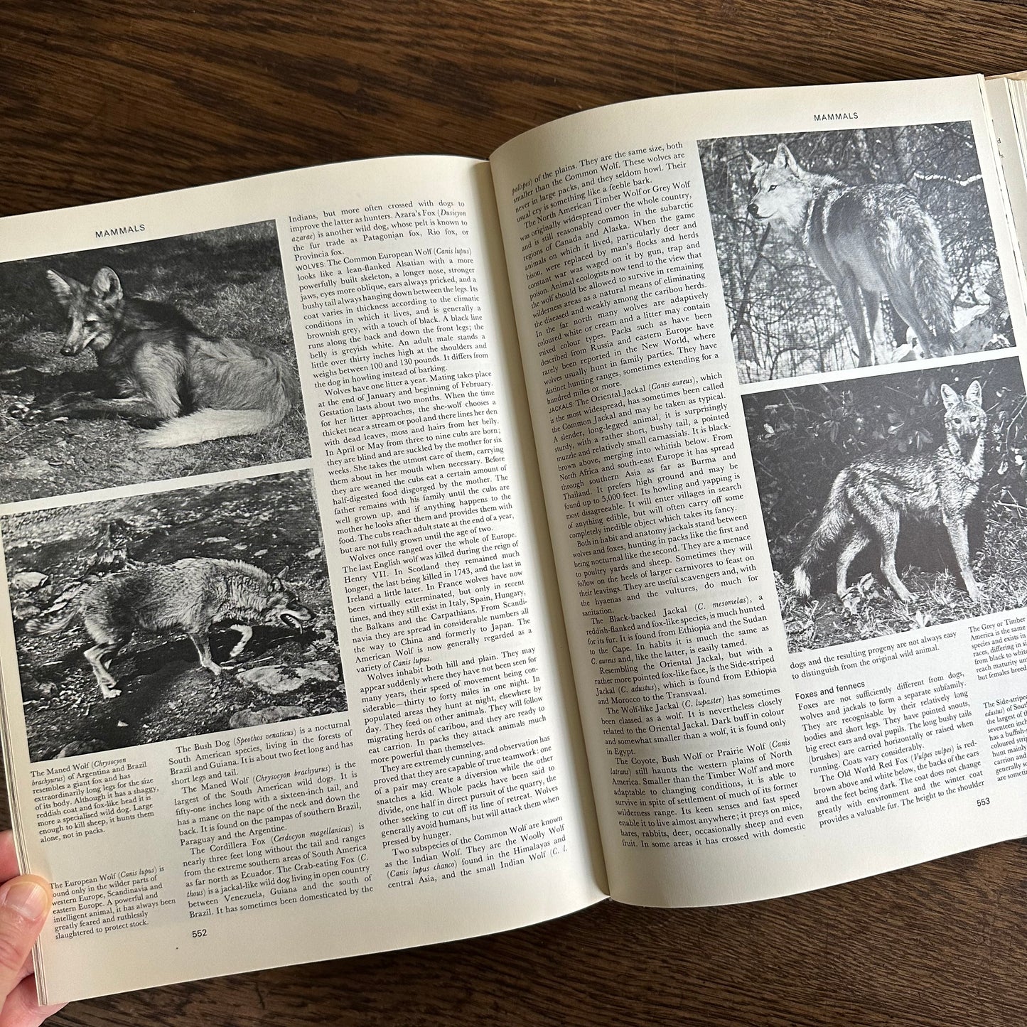 The Larousse Encyclopedia of Animal Life - 1967