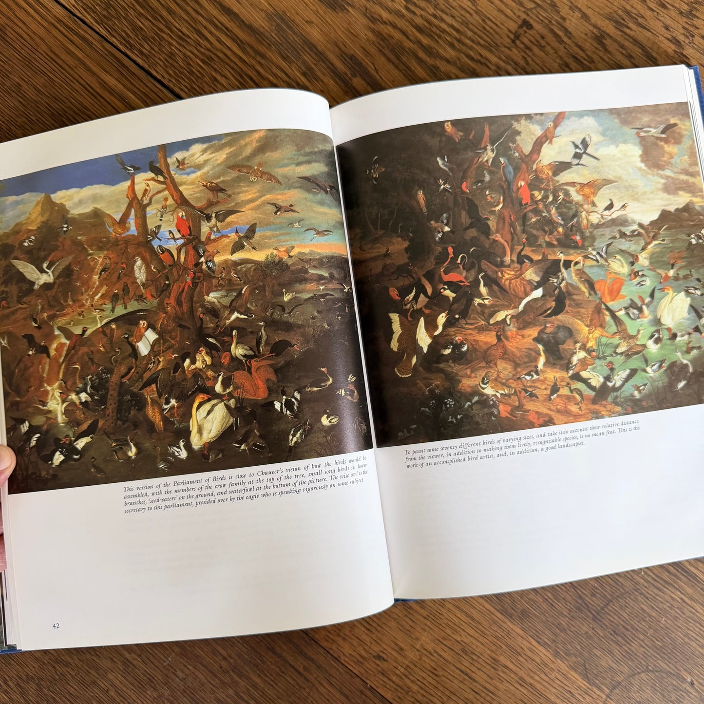 Bird Painting - The Eighteenth Century by Christine E Jackson, 1994: Antique Collectors Club, Vintage Coffee Table Book